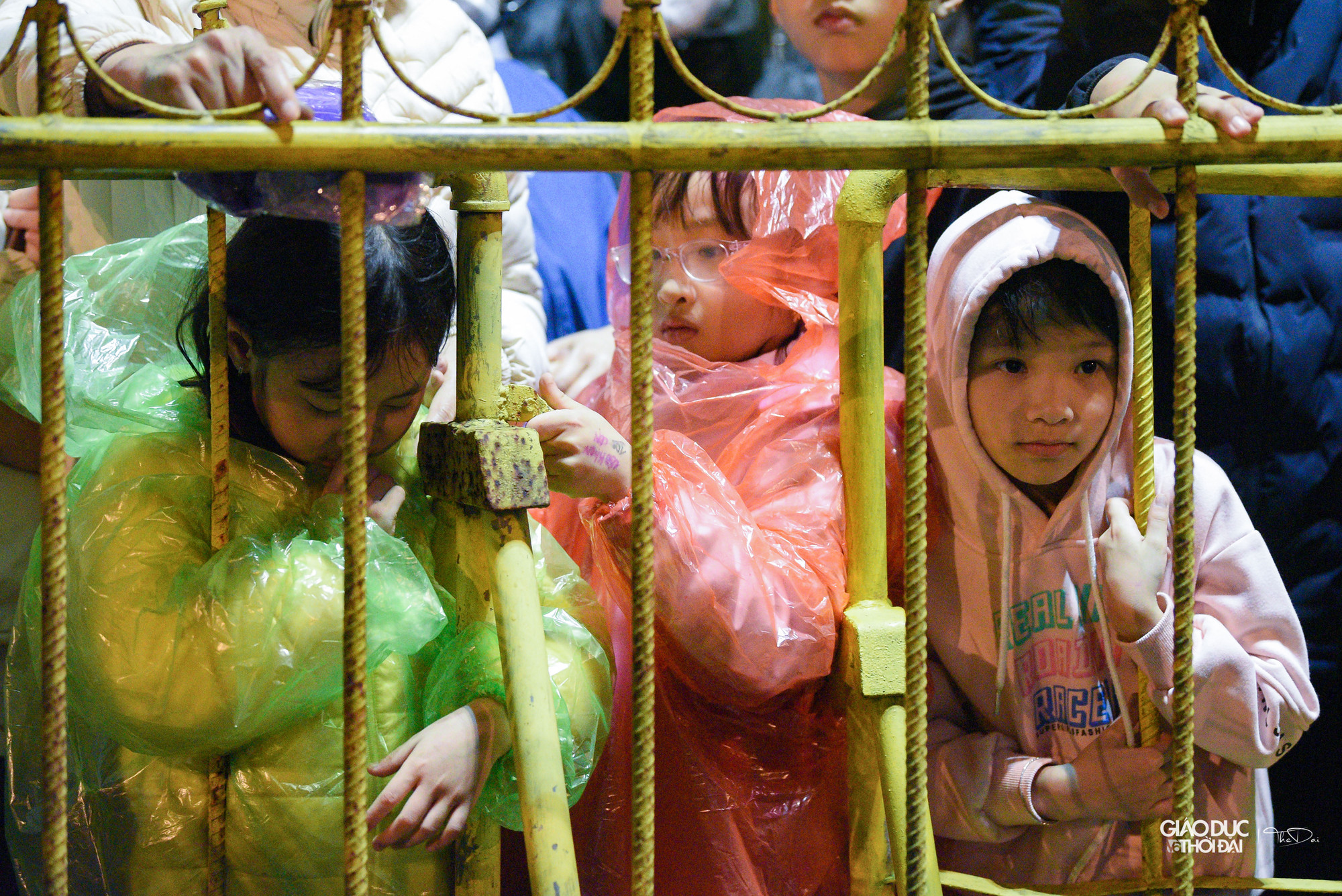 Do hạn chế số lượng người vào khu vực bên trong đền Trần nên bên ngoài rất đông người dân và du khách vẫn đứng theo dõi nghi lễ và vái vọng từ xa. Do hạn chế số lượng người vào khu vực bên trong đền Trần nên bên ngoài rất đông người dân và du khách vẫn đứng theo dõi nghi lễ và vái vọng từ xa.