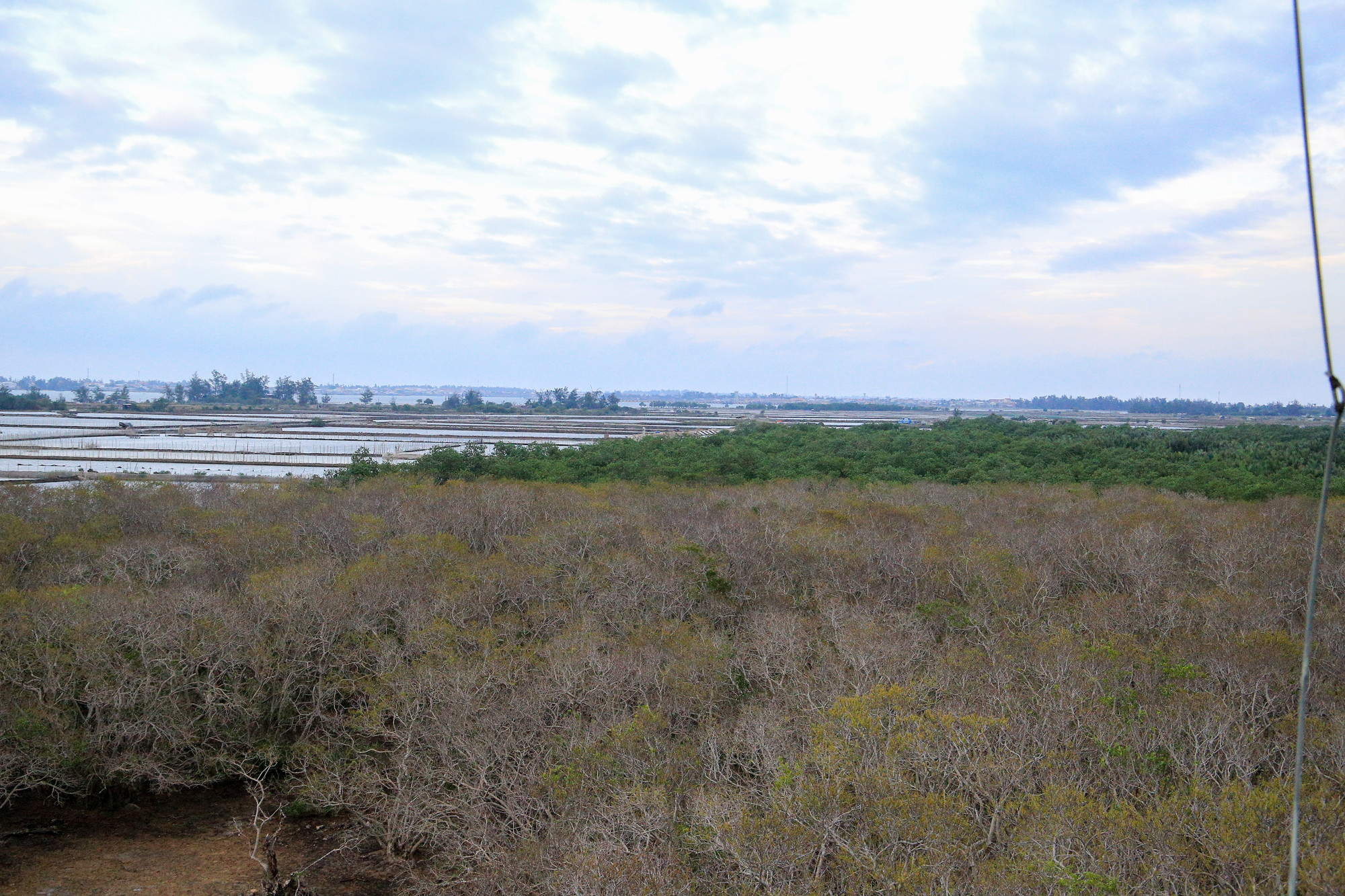 Hiện nay, diện tích của Rú Chá đã được mở rộng khoảng 22ha. Đây là nơi tập trung hàng nghìn cây chá và là nơi sinh sống của nhiều loài thủy sinh vùng đầm phá, cùng nhiều loài chim. Hiện nay, diện tích của Rú Chá đã được mở rộng khoảng 22ha. Đây là nơi tập trung hàng nghìn cây chá và là nơi sinh sống của nhiều loài thủy sinh vùng đầm phá, cùng nhiều loài chim.