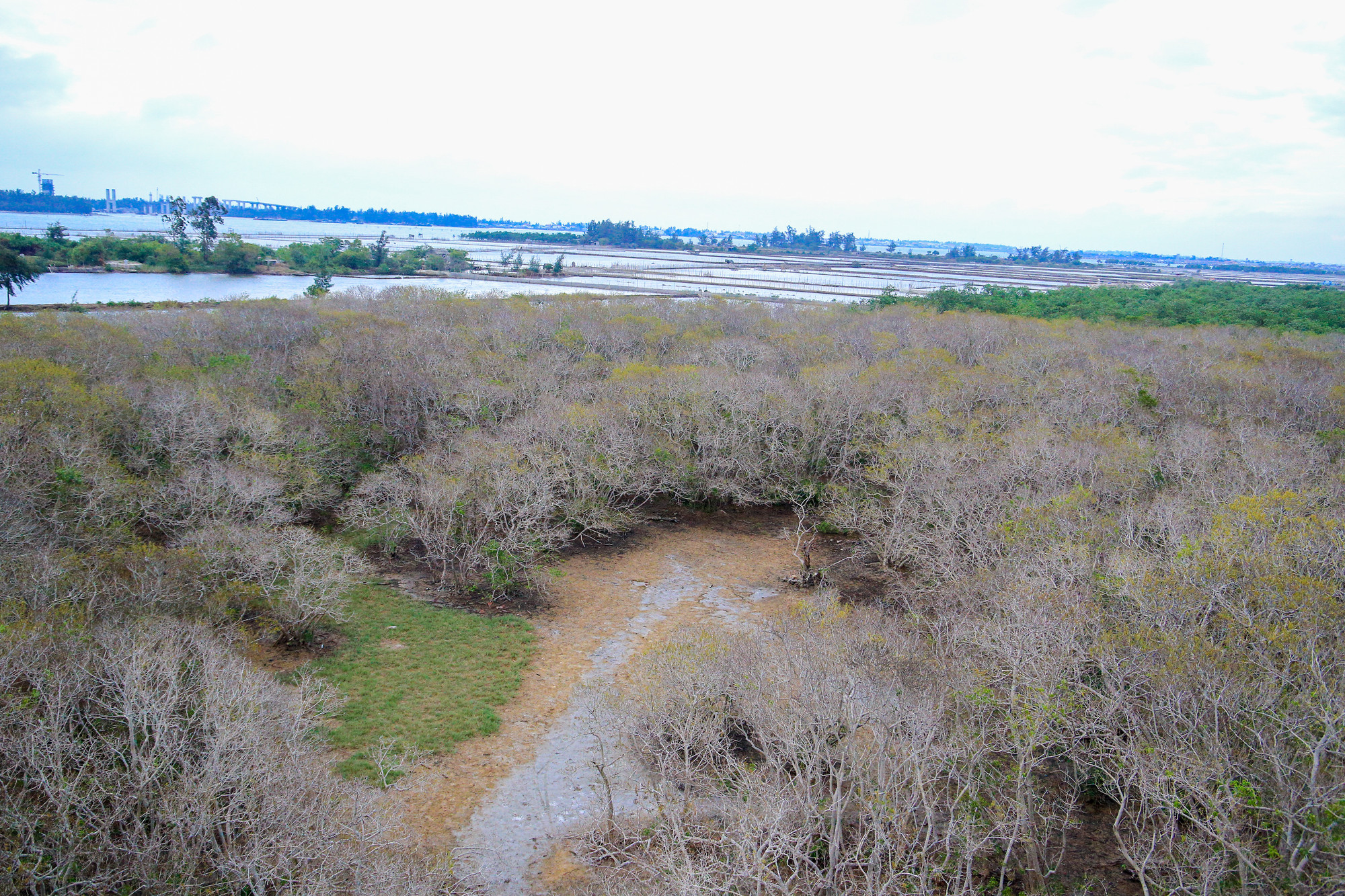 Tòa tháp được xây dựng nằm giữa khu rừng, lên đến tầng cao nhất của tòa tháp, mọi người có thể chiêm ngưỡng, ngắm nhìn một khung cảnh bao la bát ngát của khu rừng. Tòa tháp được xây dựng nằm giữa khu rừng, lên đến tầng cao nhất của tòa tháp, mọi người có thể chiêm ngưỡng, ngắm nhìn một khung cảnh bao la bát ngát của khu rừng.