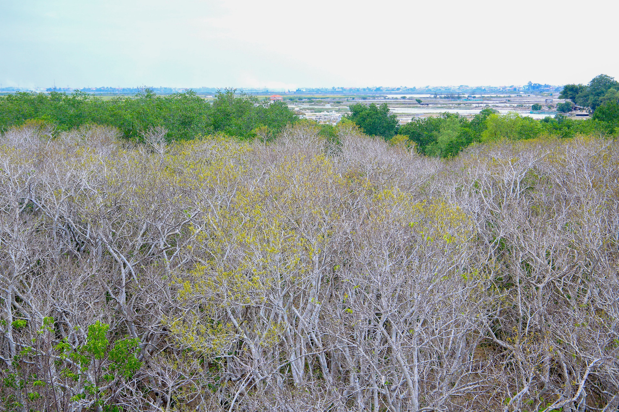 Xa xa là vùng đầm phá Tam Giang với vẻ đẹp bình yên và thơ mộng. Xa xa là vùng đầm phá Tam Giang với vẻ đẹp bình yên và thơ mộng.