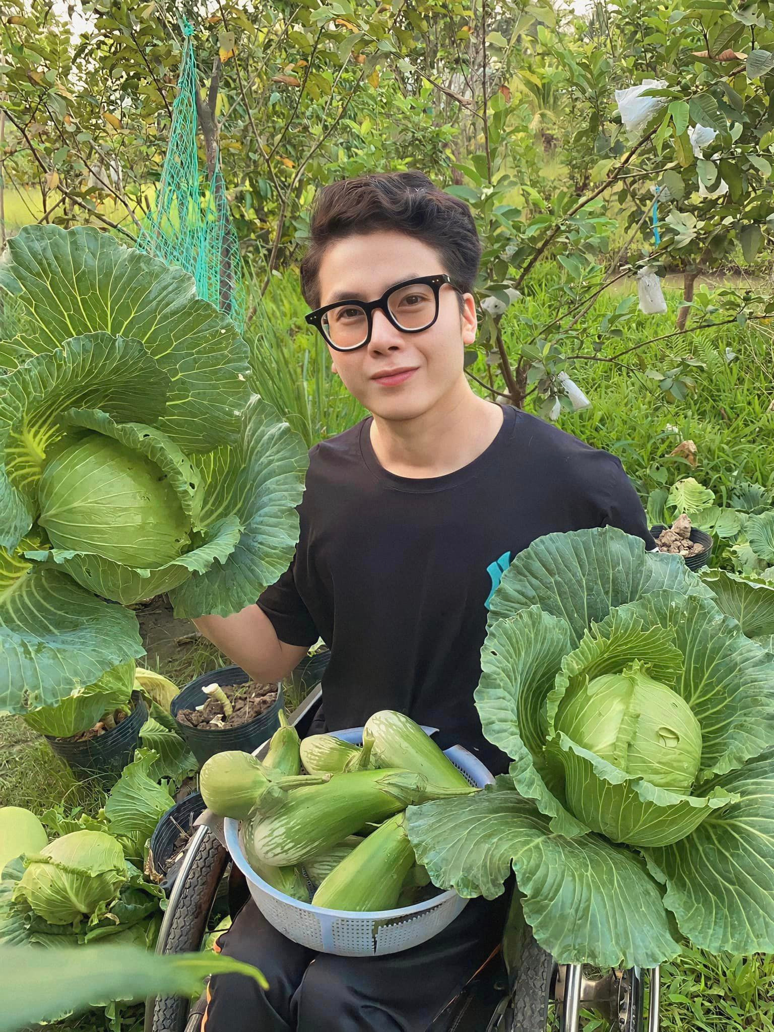 Đã mắt ngắm khu vườn xanh mướt của chàng trai 9X ngồi xe lăn ảnh 1 Đã mắt ngắm khu vườn xanh mướt của chàng trai 9X ngồi xe lăn ảnh 1