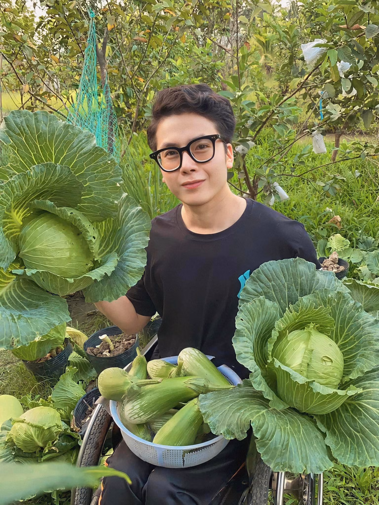 Đã mắt ngắm khu vườn xanh mướt của chàng trai 9X ngồi xe lăn ảnh 1