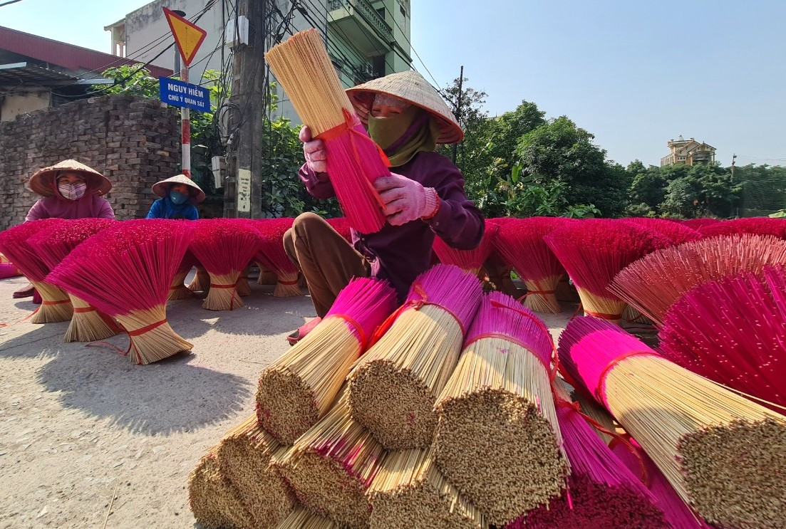 Những đóa &apos;hoa tăm hương&apos; rực sắc màu đỏ, bung nở dọc đường làng, sân đình, bãi đất trống báo hiệu ngày Tết đang cận kề.