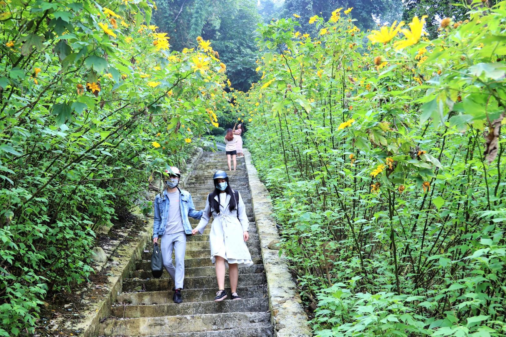 Đặc biệt trong những ngày mây mù bao trùm đỉnh Ba Vì, du khách có thể vừa dạo bộ giữa những cung đường hoa dã quỳ vàng rực, vừa chụp ảnh check-in lưu giữ những khoảnh khắc kỷ niệm của thiên nhiên kỳ vĩ nơi đây. Để chuyến đi trải nghiệm khám phá được vui vẻ, bảo đảm sức khỏe, mọi người nên mặc trang phục thoải mái gọn gàng, đi giày leo núi, khẩu trang, kính mắt và áo khoác mỏng.