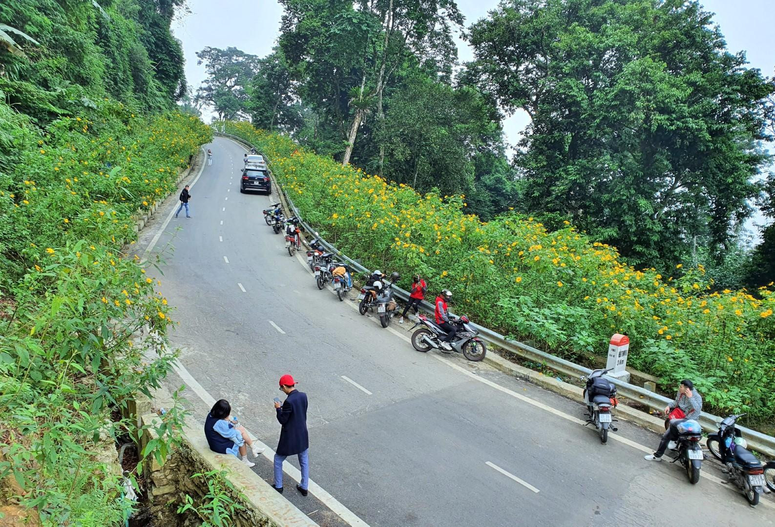 Cách trung tâm Hà Nội khoảng 50km về phía Tây, du khách có thể tới Vườn quốc gia Ba Vì bằng ô tô riêng, xe máy hoặc xe buýt để ngắm hoa dã quỳ. Tuy nhiên, để cảm nhận rõ nét nhất vẻ đẹp nhẹ nhàng, quyến rũ của hoa dã quỳ xen giữa rừng xanh đại ngàn, du khách nên chọn phương tiện xe máy để có nhiều trải nghiệm thú vị hơn.