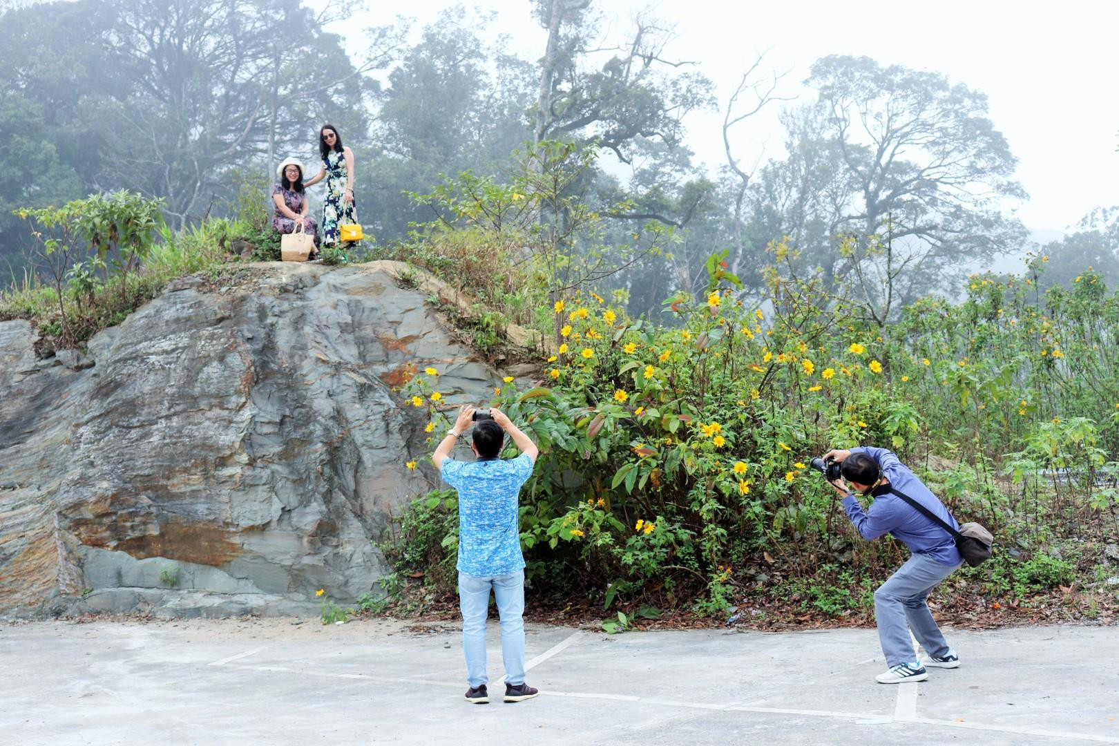 Trong khung cảnh thơ mộng, bạt ngàn sắc vàng phủ kín núi rừng quốc gia Ba Vì, các nhiếp ảnh gia thật khó có thể bỏ lỡ cơ hội, thả hồn phiêu lãng, sáng tác và tìm cho mình những góc máy độc, lạ.