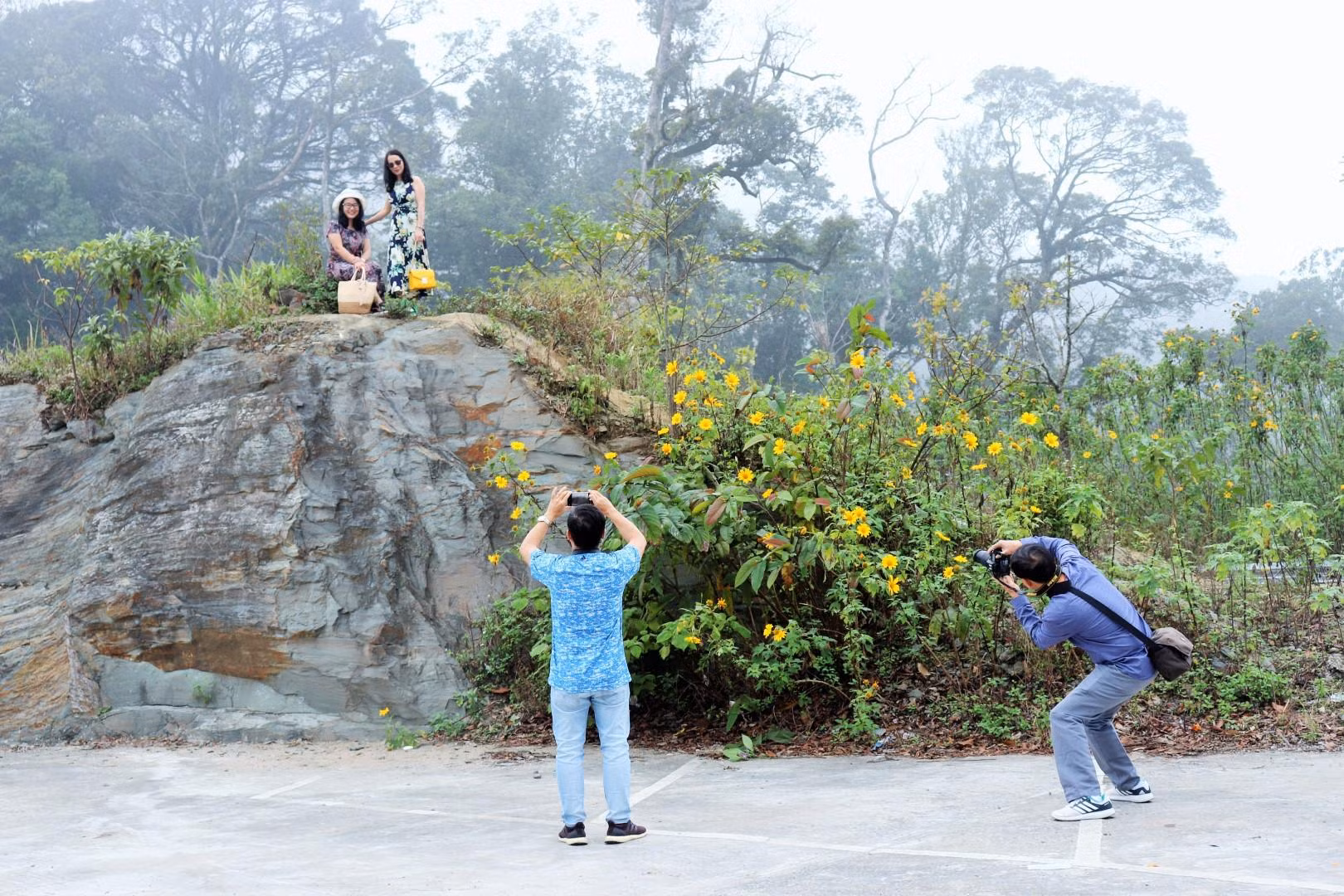 Trong khung cảnh thơ mộng, bạt ngàn sắc vàng phủ kín núi rừng quốc gia Ba Vì, các nhiếp ảnh gia thật khó có thể bỏ lỡ cơ hội, thả hồn phiêu lãng, sáng tác và tìm cho mình những góc máy độc, lạ.