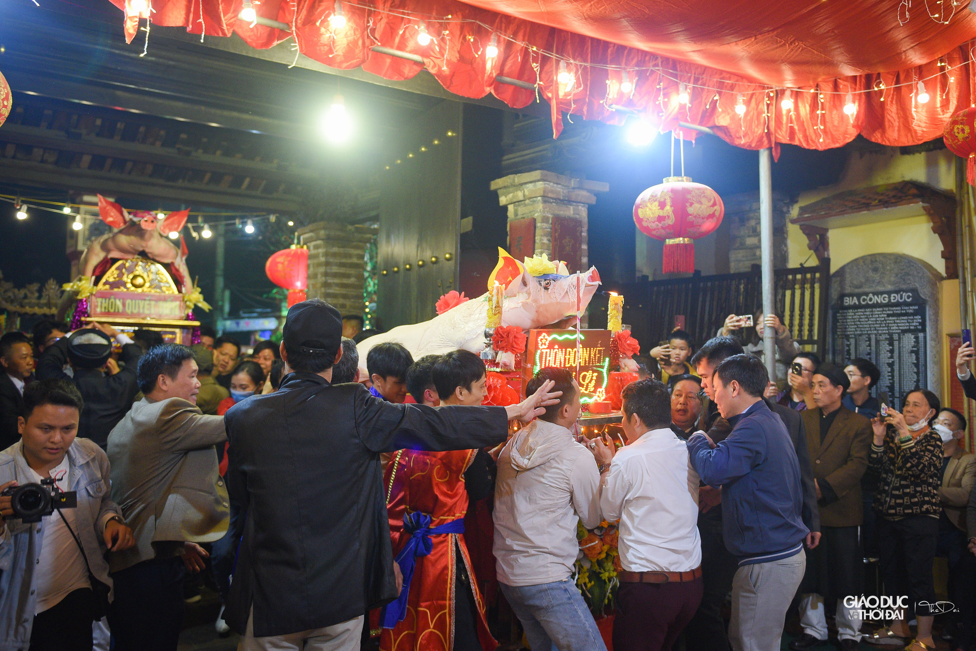 Năm nay ông lợn nặng nhất là 240 kg, nhẹ nhất 157 kg.