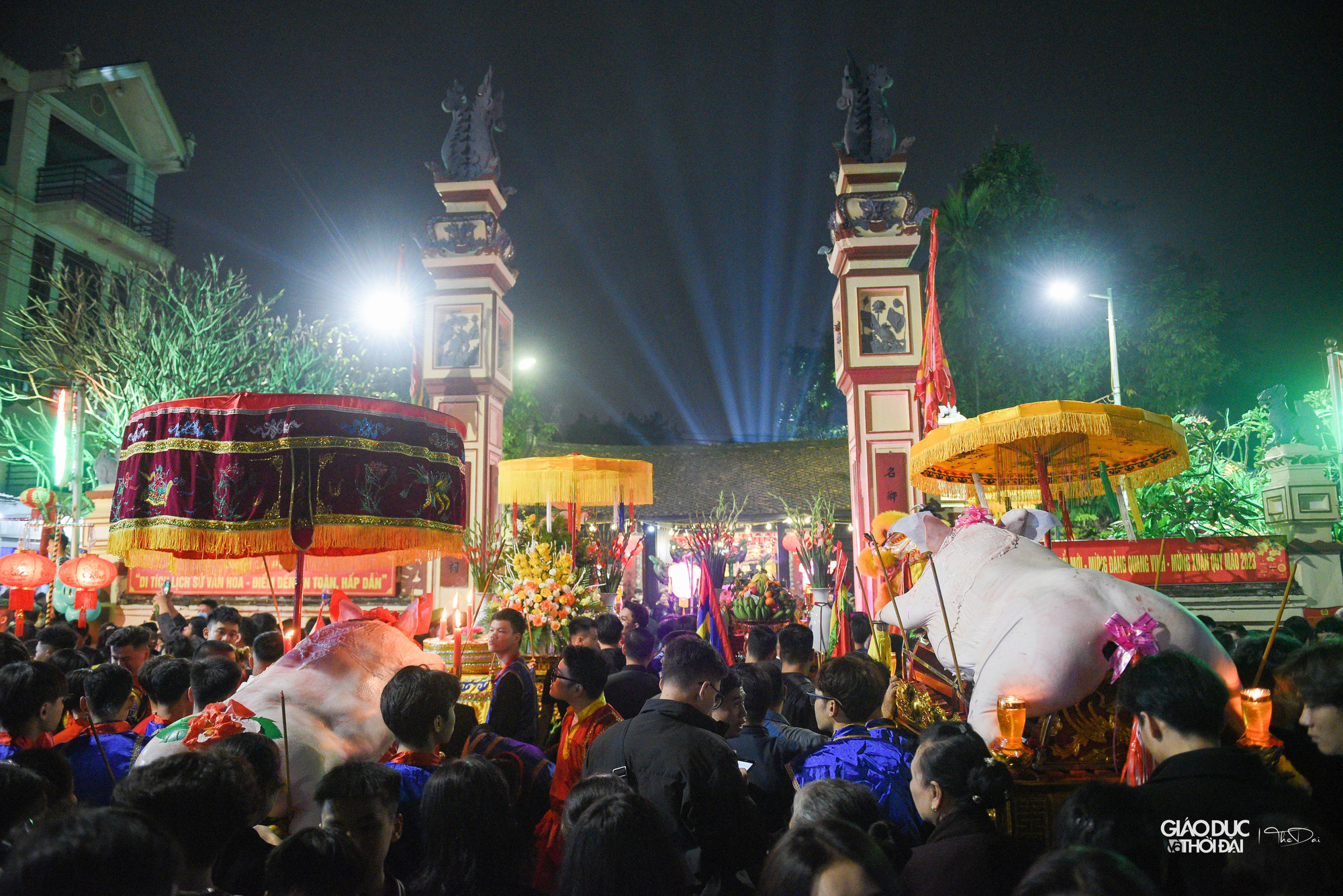 Năm nay ông lợn nặng nhất là 240 kg, nhẹ nhất 157 kg.