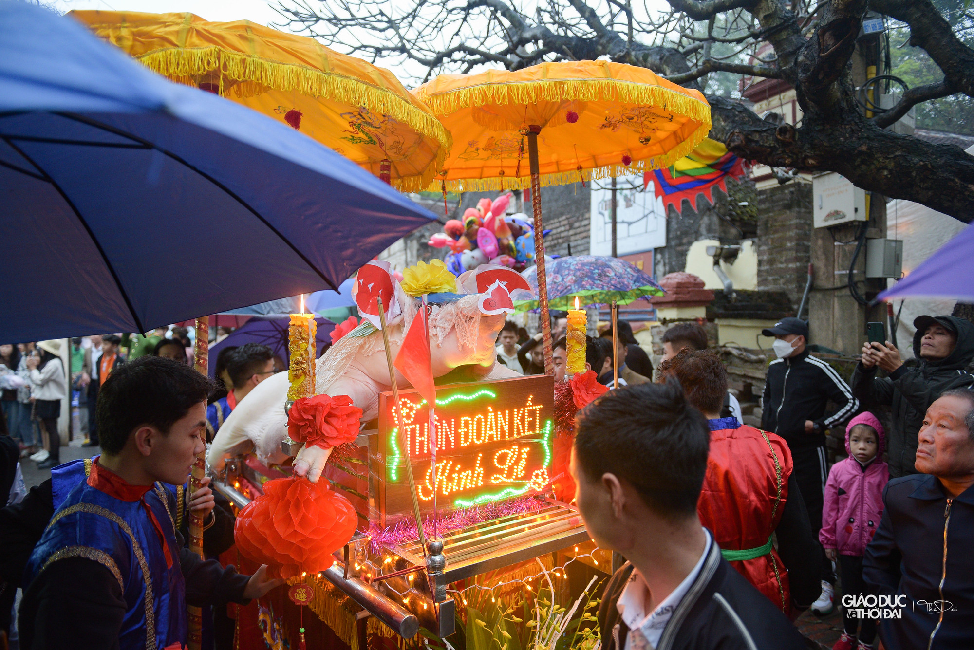 Đúng 18h, tất cả &apos; ông lợn&apos; được đưa ra trục đường chính của làng, hướng về đình làng.