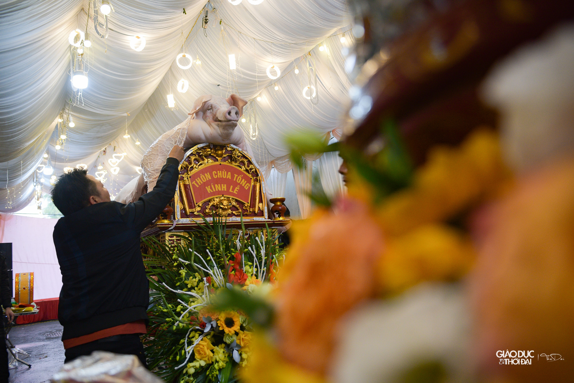 &apos;Ông lợn khi cho lên kiệu để tế lễ có dáng và da càng đẹp thì dân làng tin rằng trong năm ấy sẽ gặp những điều thuận lợi khi làm ăn và ngược lại&apos;.