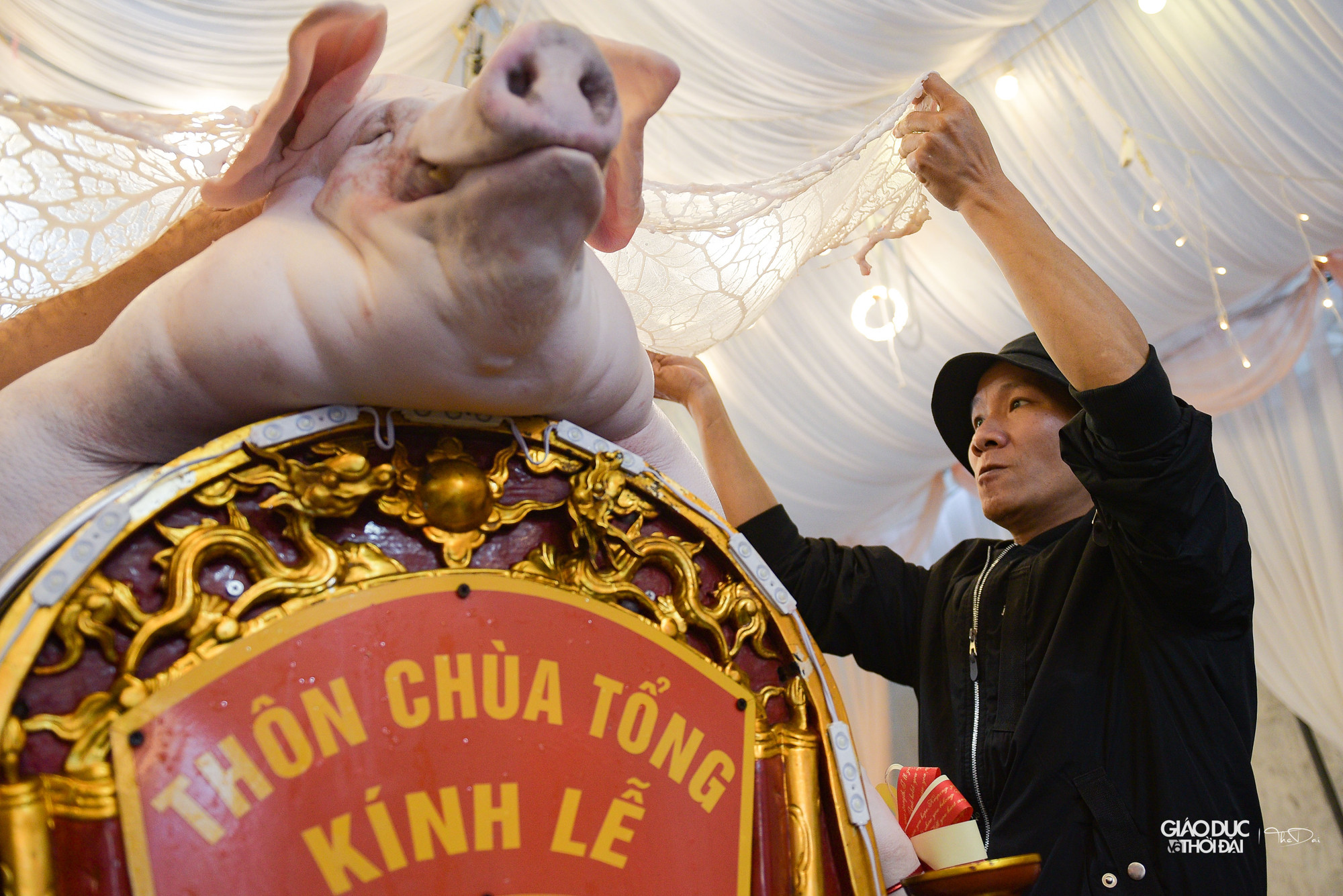 &apos;Ông lợn khi cho lên kiệu để tế lễ có dáng và da càng đẹp thì dân làng tin rằng trong năm ấy sẽ gặp những điều thuận lợi khi làm ăn và ngược lại&apos;.