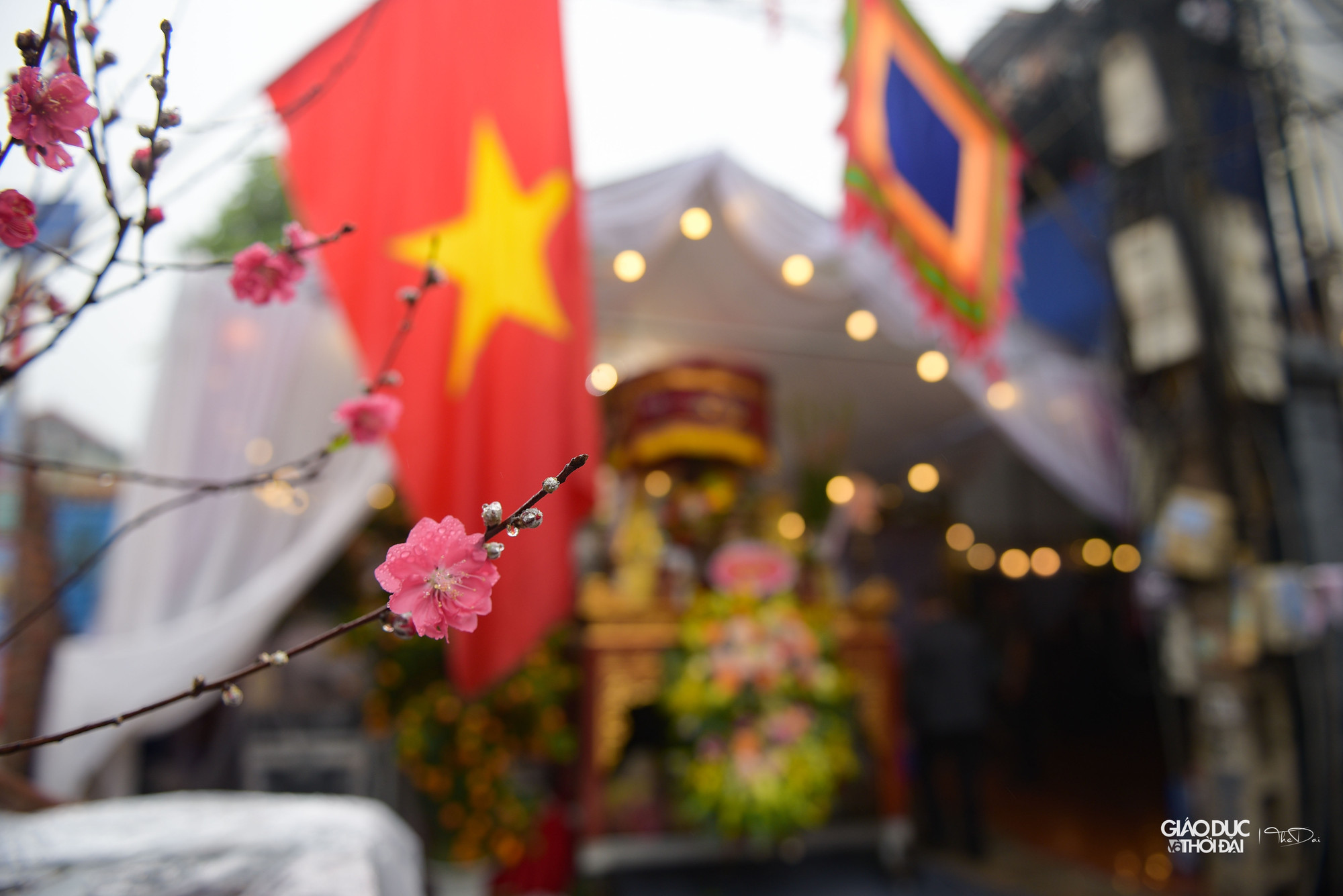 Những &apos;ông lợn&apos; phục vụ cho lễ hội rước lợn La Phù được trang trí gồm nhiều vị trí như mũi, mắt, tai, đầu, đuôi và 4 chi.