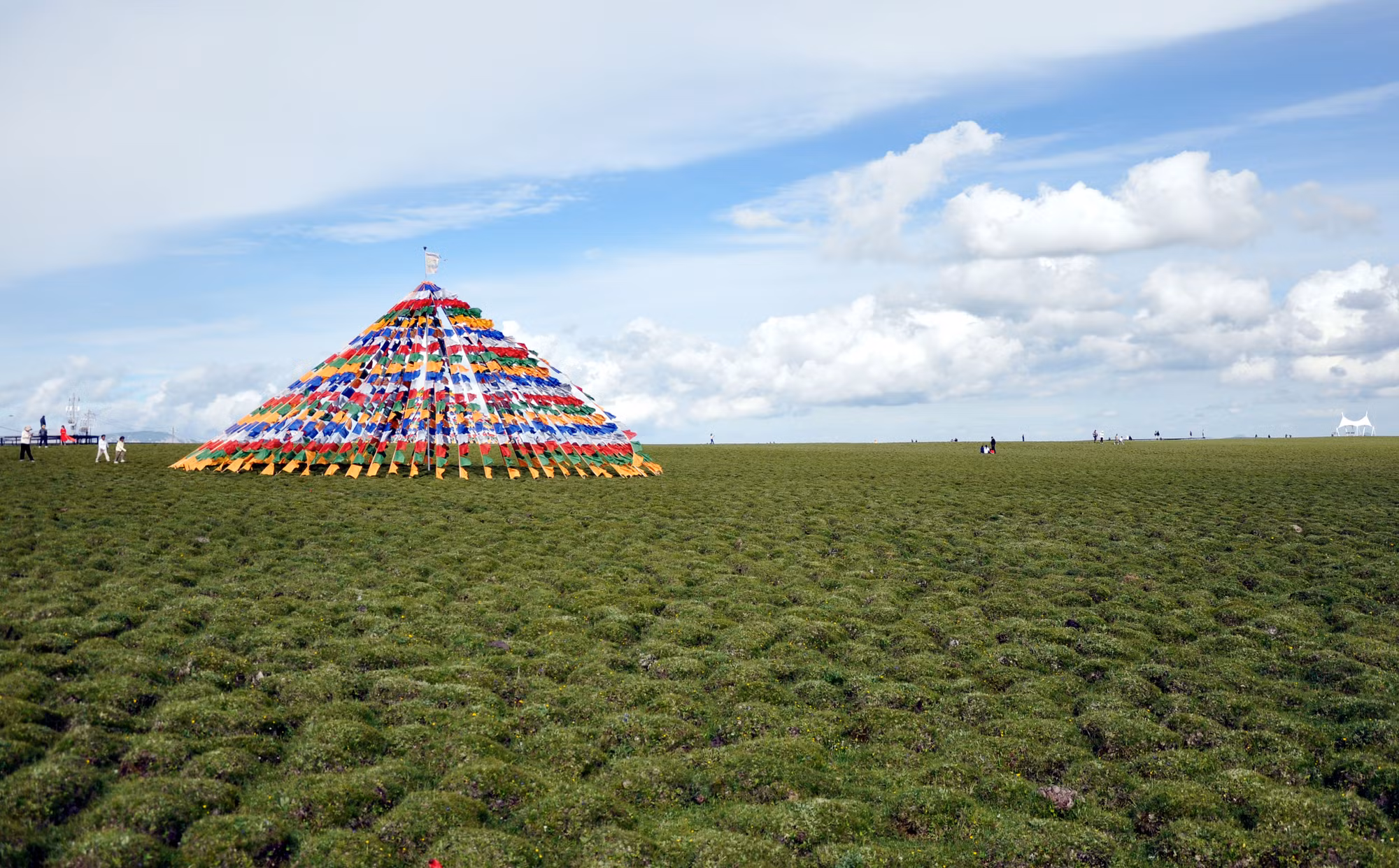 Với độ che phủ lớn, quần thể thực vật ở các thảo nguyên Cam Nam có nhiều chủng loại, chủ yếu bao gồm các loại có khả năng chịu lạnh cao.