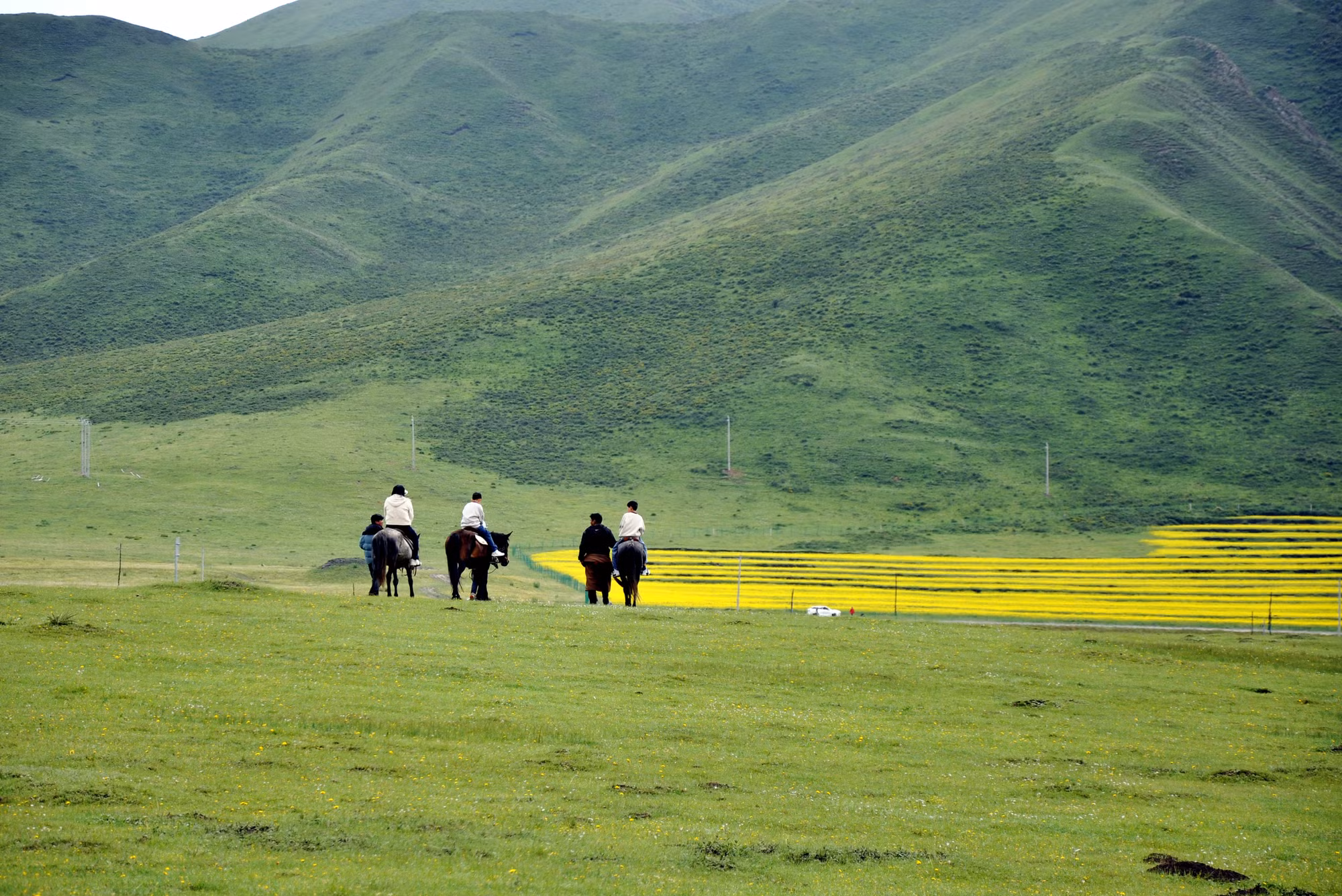 Châu Cam Nam sở hữu thảo nguyên Mỹ Nhân là một trong 10 thảo nguyên hàng đầu châu Á... 