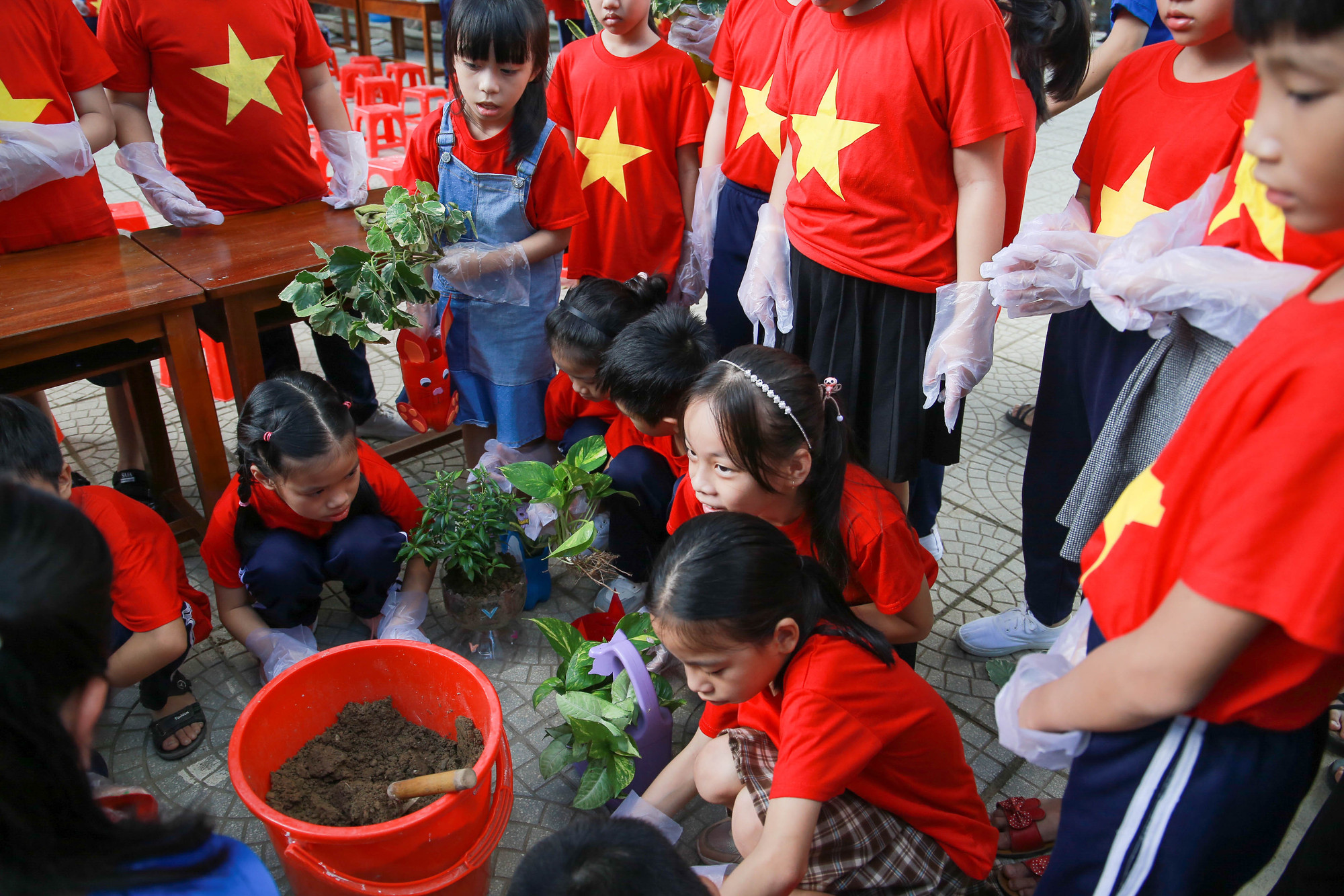Sau khi trồng cây xong, sản phẩm học sinh sẽ được trưng bày tại khuôn viên sân trường, thư viện, hay dùng để trang trí lớp học, góc học tập,…