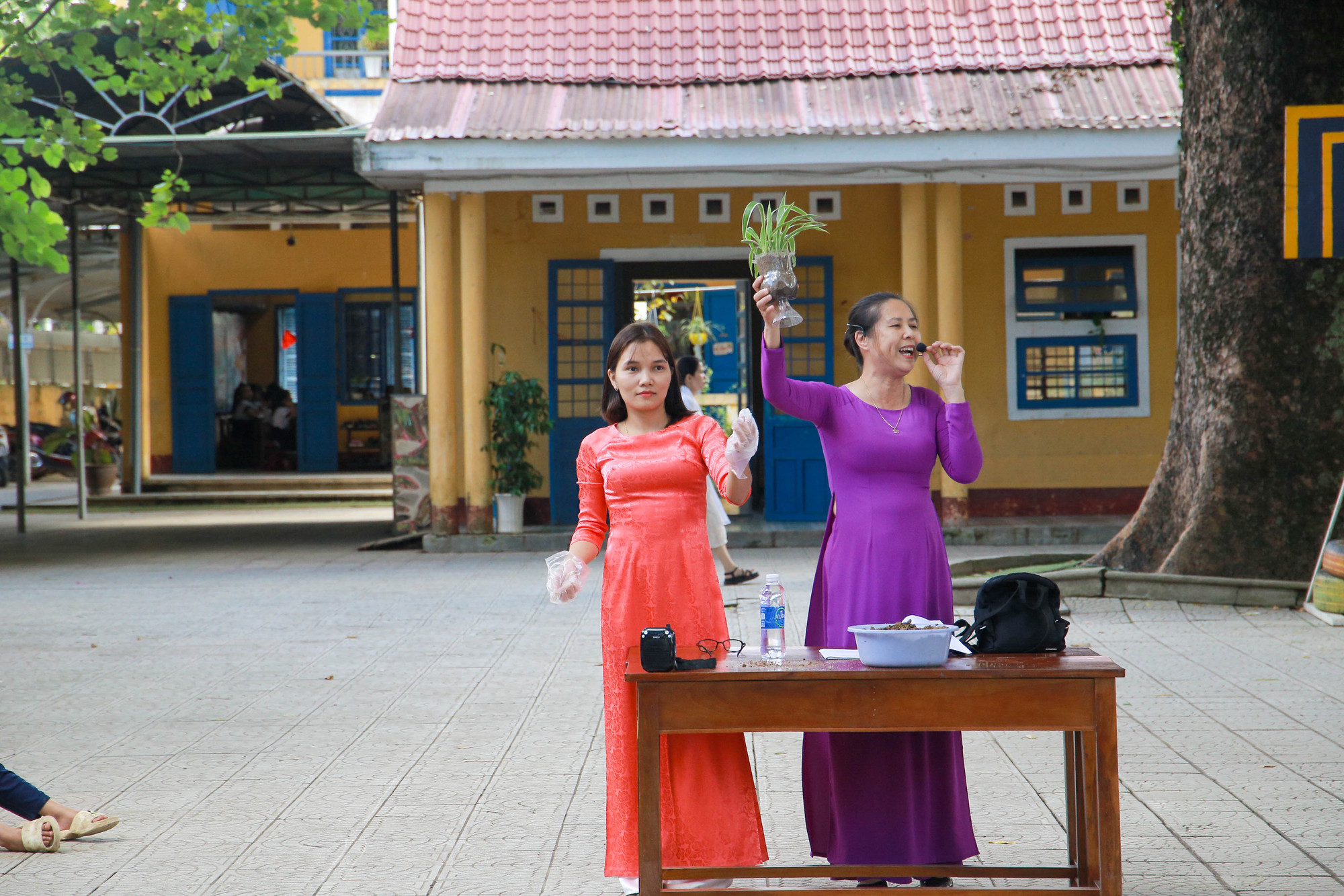 Các cô giáo hướng dẫn các em cách trồng cây vào chậu đúng cách.