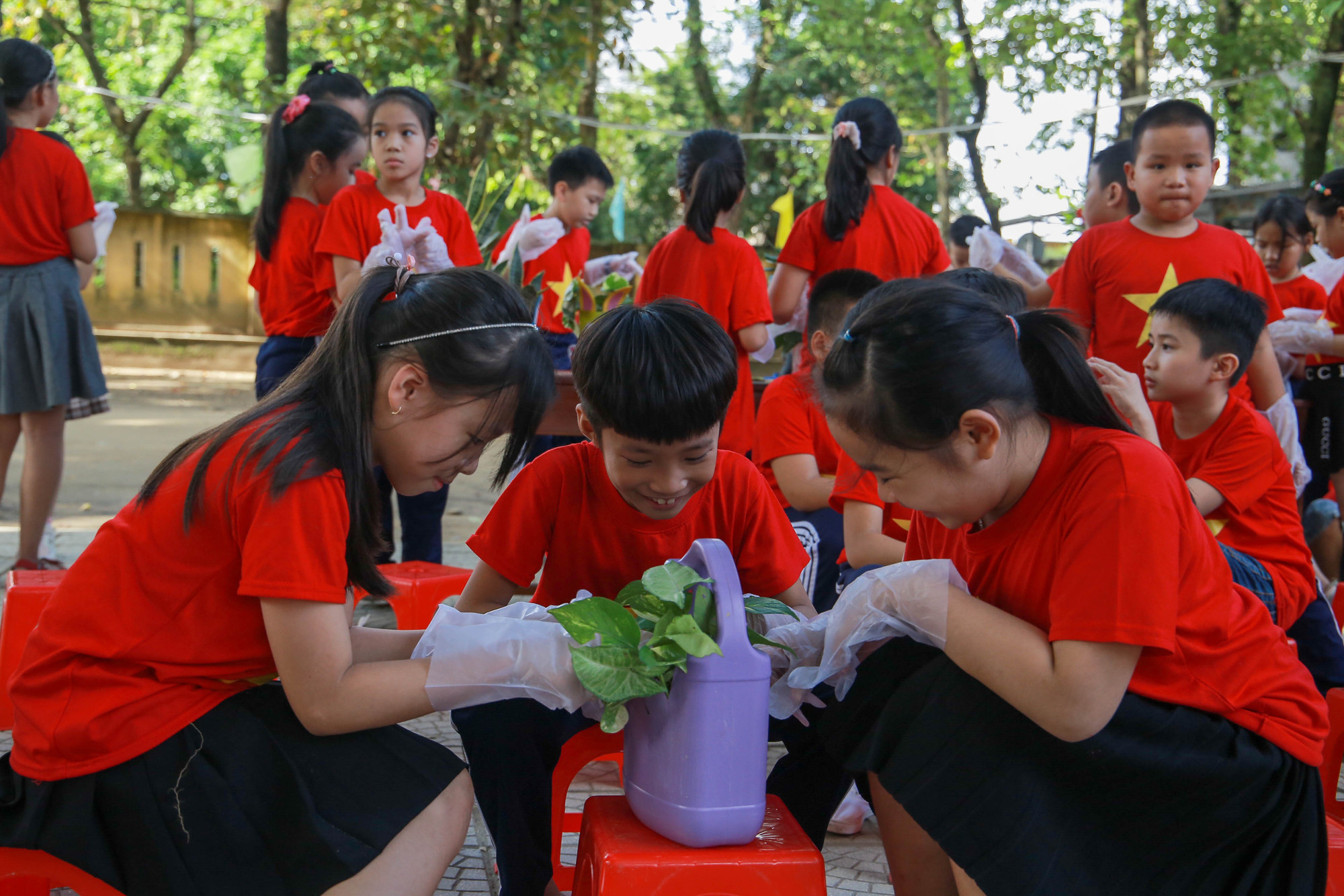 Từ đó sẽ tạo ra được không gian xanh cũng như giúp các em có thêm động lực trong việc học tập tại trường.