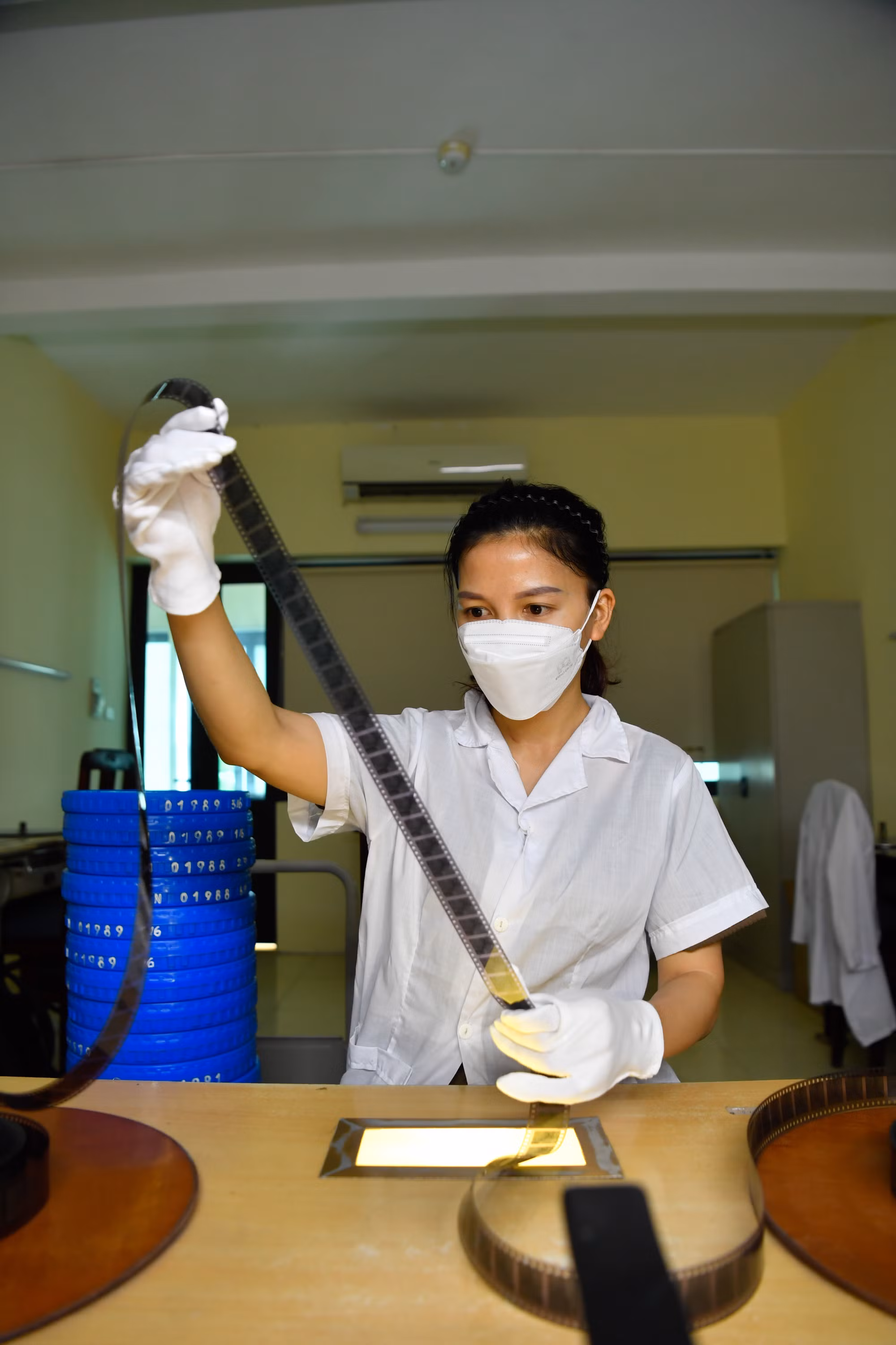 Công tác lập hồ sơ phim mục của Viện được thực hiện theo hệ thống dữ liệu chuẩn quốc tế của Liên đoàn các Viện Lưu trữ phim quốc tế (FIAF). Phim lưu trữ tại Viện được phân loại, lên danh mục theo từng thể loại phim: phim truyện, tài liệu, khoa học, hoạt hình…và theo từng loại vật liệu.