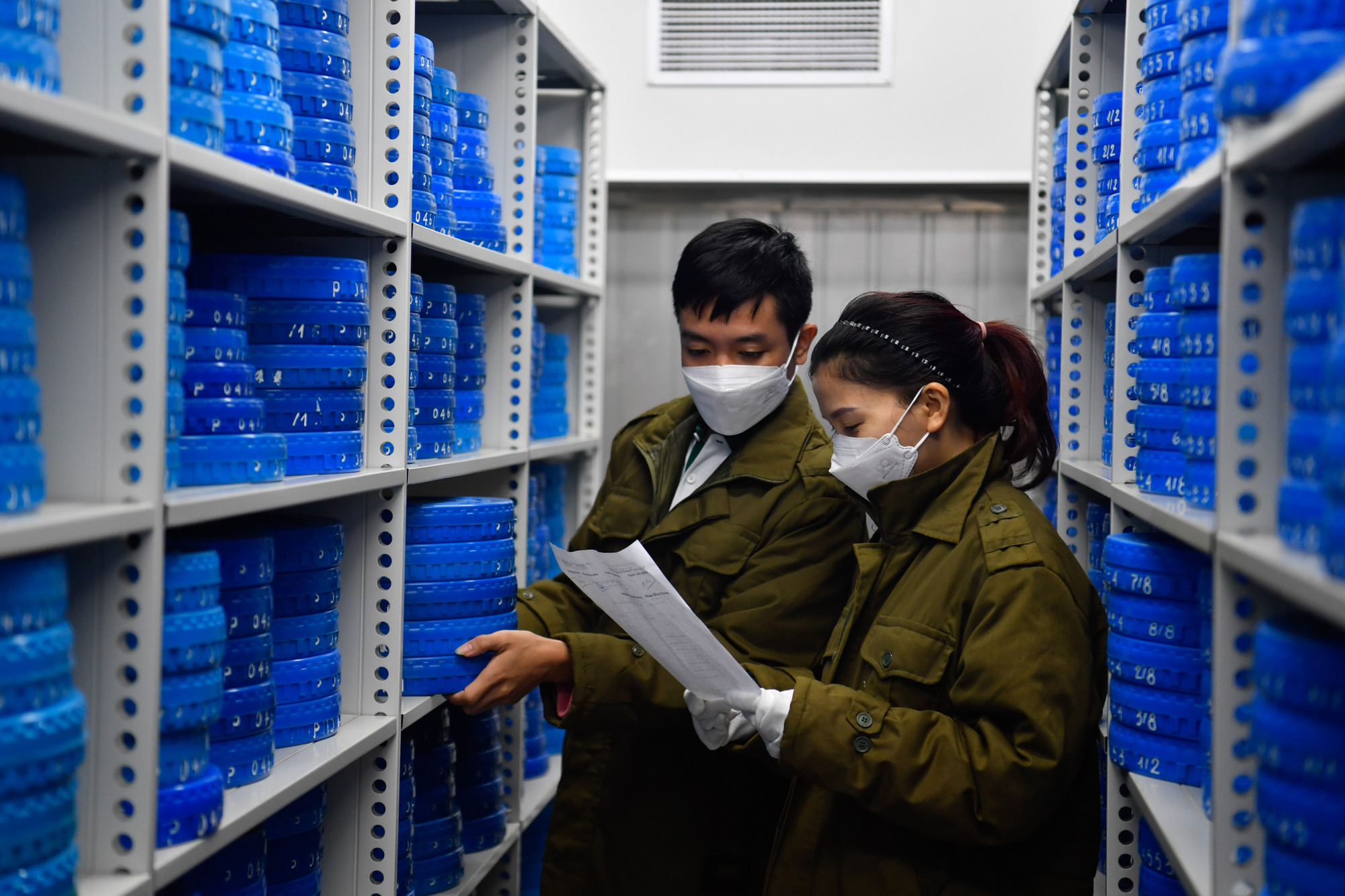 Đó là các tác phẩm điện ảnh Việt Nam và nước ngoài, đặc biệt là khối lượng lớn tư liệu phản ánh các thời kỳ chiến tranh bảo vệ và xây dựng Tổ quốc.