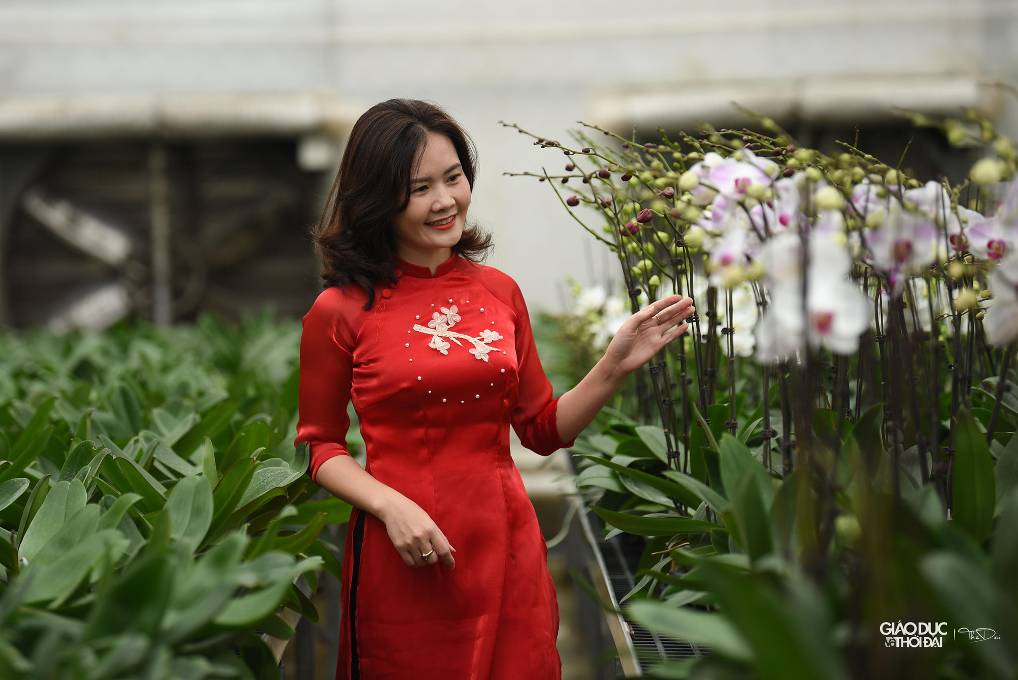 Toàn bộ hoa lan tại cơ sở đều đã chuẩn bị sẵn sàng cho Festival cũng như phục vụ các dịp lễ tết. Toàn bộ hoa lan tại cơ sở đều đã chuẩn bị sẵn sàng cho Festival cũng như phục vụ các dịp lễ tết.