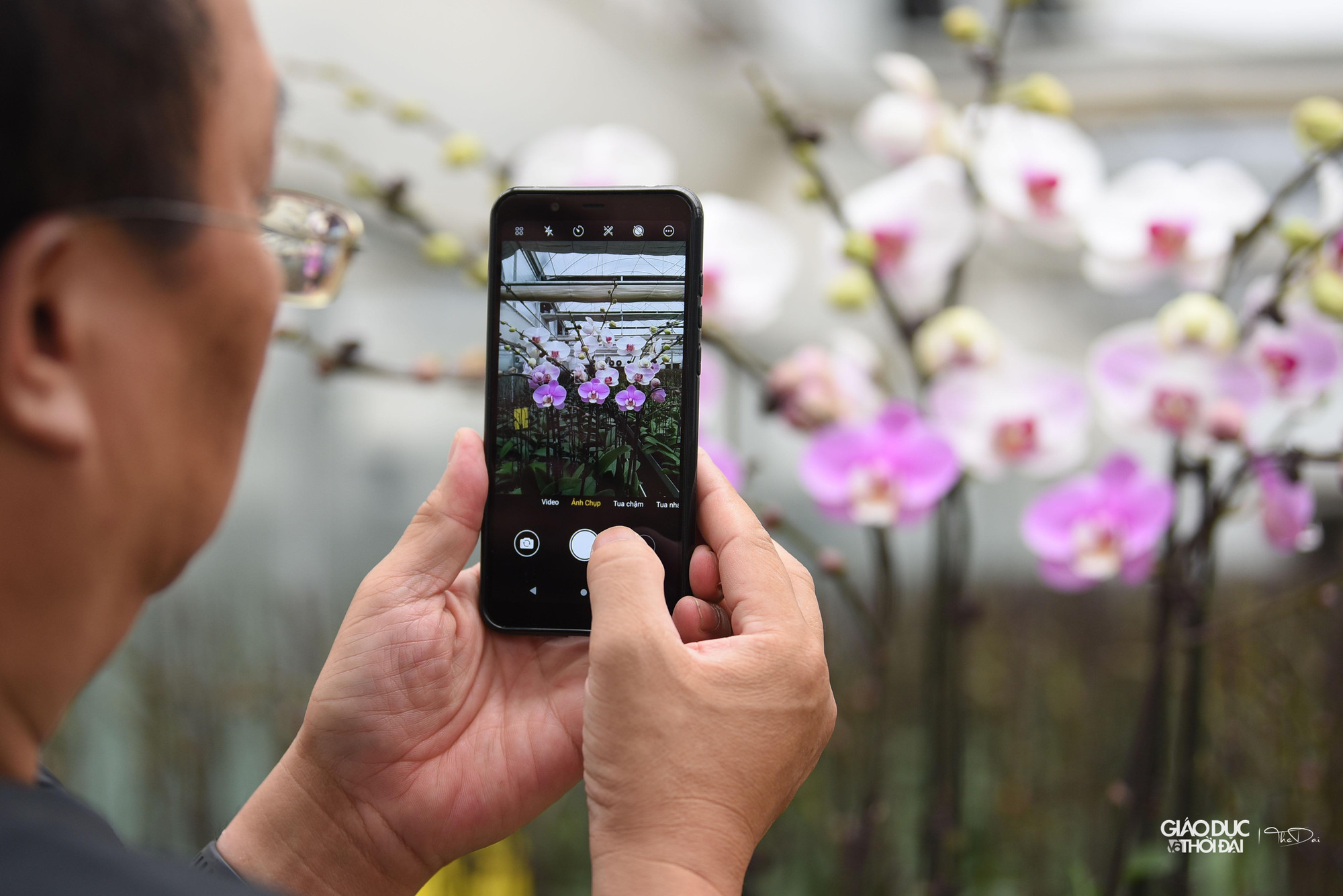 Toàn bộ hoa lan tại cơ sở đều đã chuẩn bị sẵn sàng cho Festival cũng như phục vụ các dịp lễ tết. Toàn bộ hoa lan tại cơ sở đều đã chuẩn bị sẵn sàng cho Festival cũng như phục vụ các dịp lễ tết.