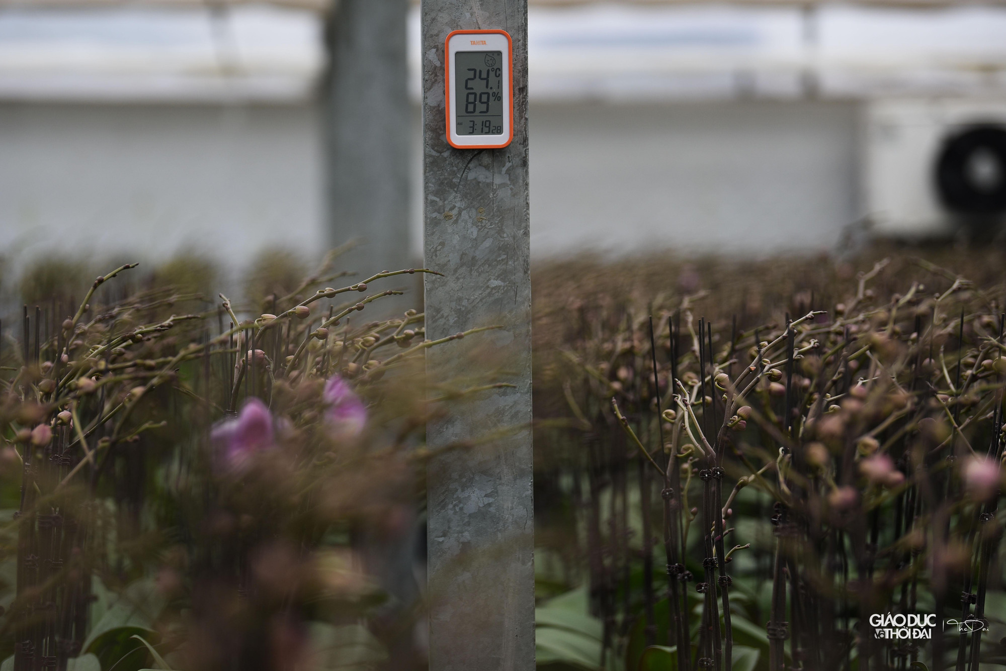 Những ứng dụng khoa học kỹ thuật cho từng khâu đã được thực hiện cho kết quả rất tốt tại đây. Những ứng dụng khoa học kỹ thuật cho từng khâu đã được thực hiện cho kết quả rất tốt tại đây.