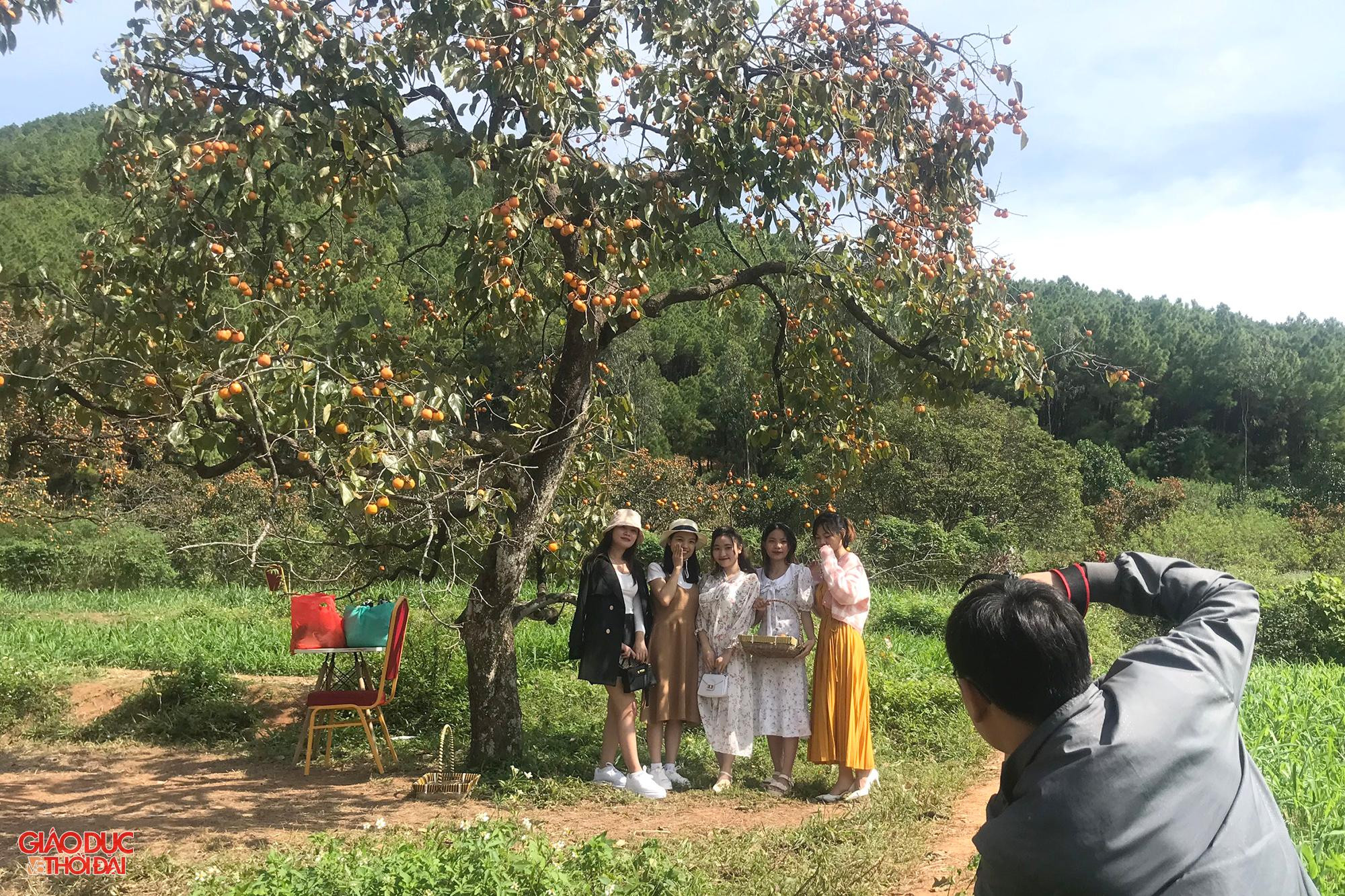 Nhiều bạn trẻ thích thú chụp ảnh tại vườn hồng.