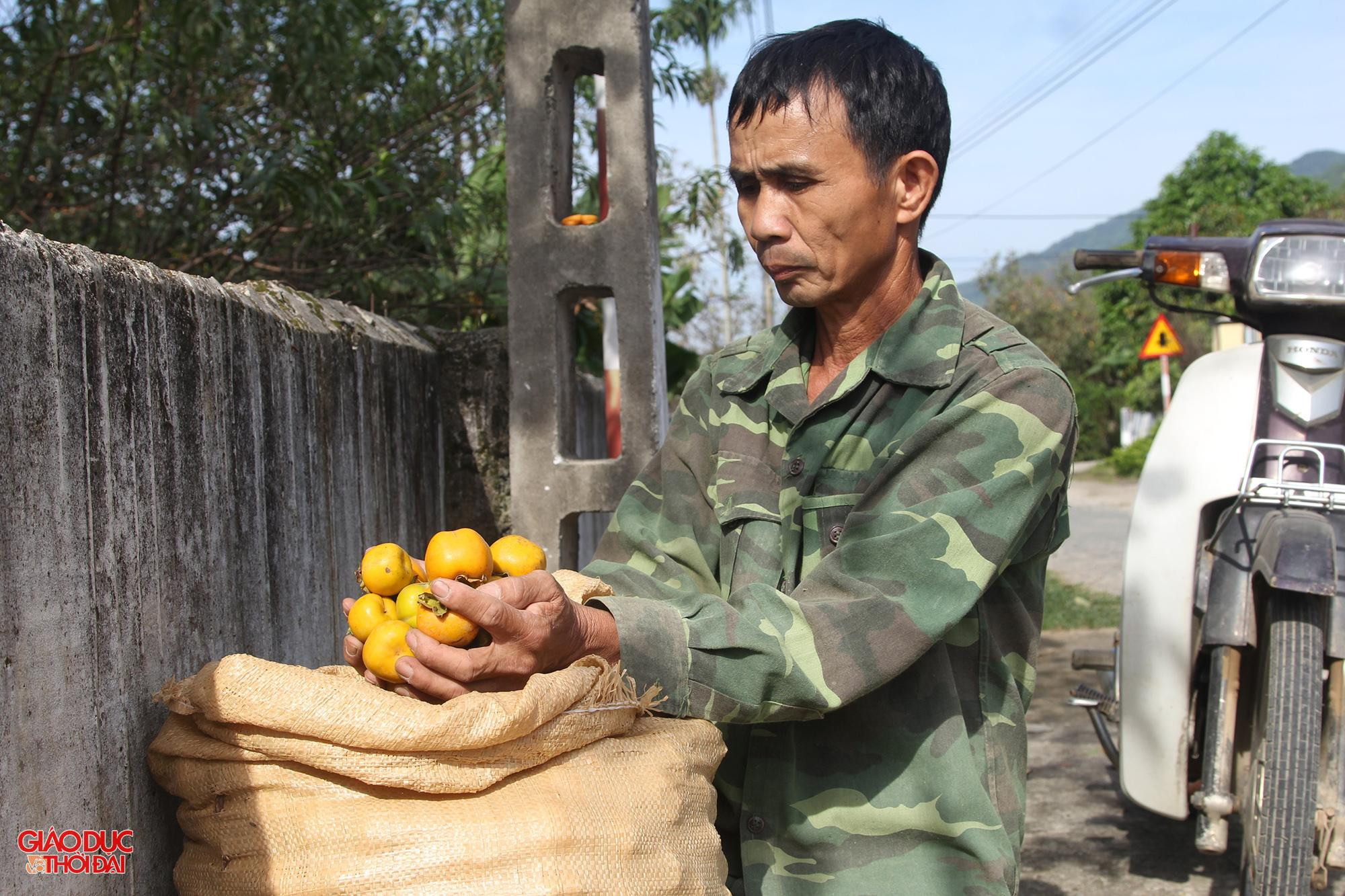 Ông Hồ Viết Nhân đóng bì quả hồng chờ thương lái đến nhận.