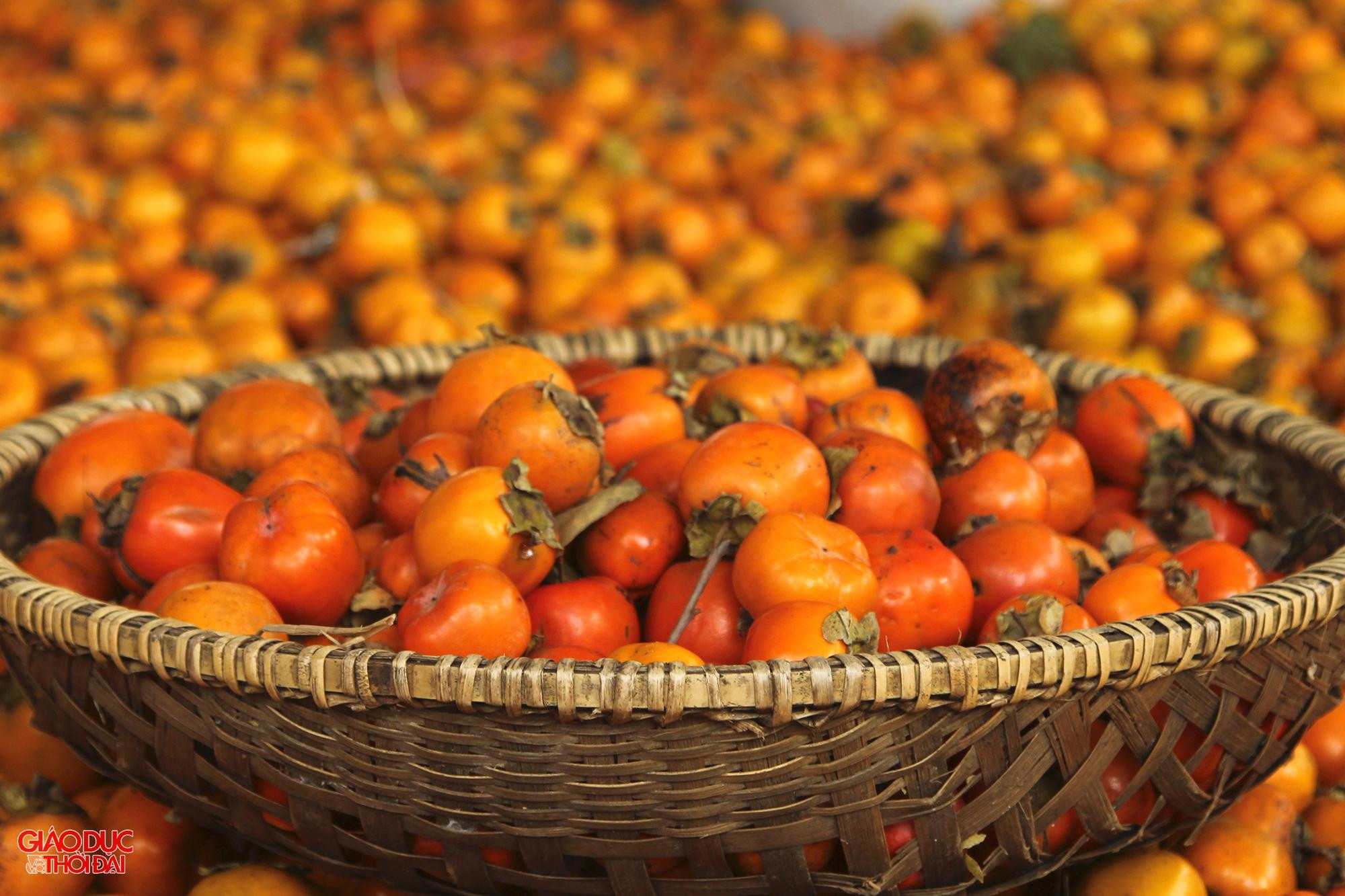 Những quả hồng trứng chín mọng.