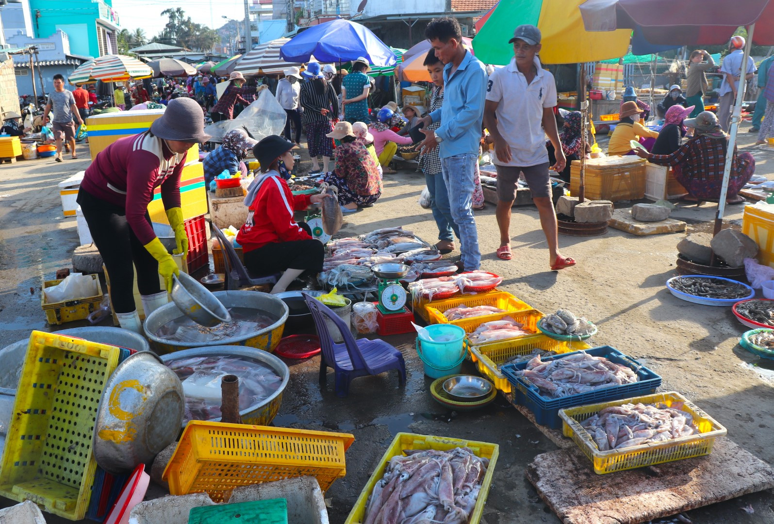 Mọi người tìm đến chợ Nại không chỉ để mua các loại hải sản. Họ tới đây để tìm hiểu, khám phá, tận hưởng không khí náo nhiệt của một khu chợ quê và thiên nhiên tươi đẹp xung quanh đầm Nại.