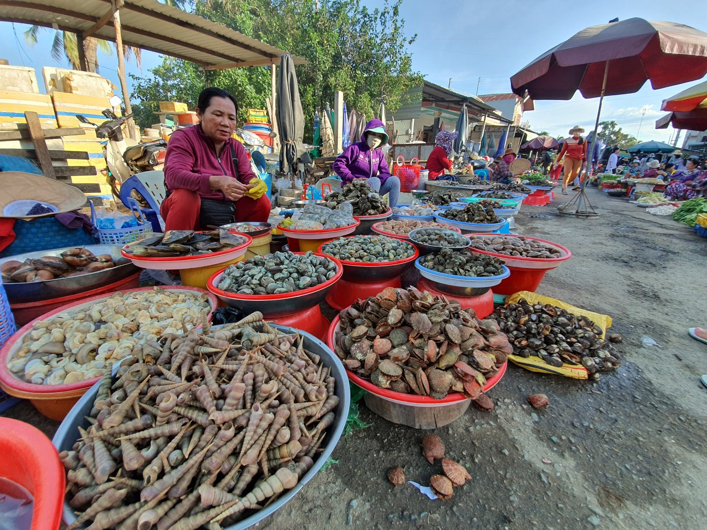 Ngoài mua hải sản tươi ngon như tôm, cua, ốc, ghẹ, cá, khách còn có thể mua đồ khô như mực, cá, bánh tráng hay các loại gia vị như hành, tỏi, mắm nêm đặc trưng của Ninh Thuận.