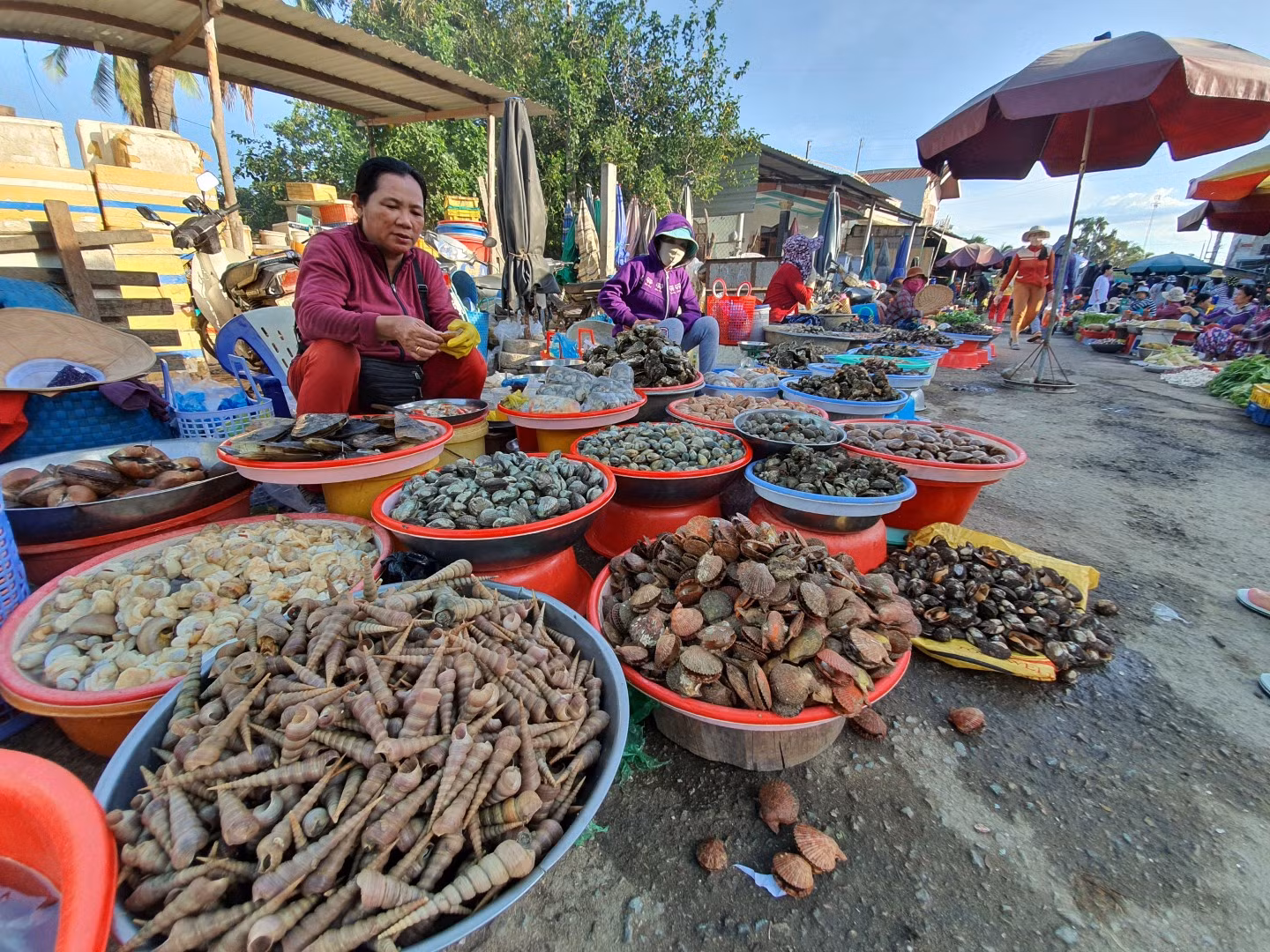 Ngoài mua hải sản tươi ngon như tôm, cua, ốc, ghẹ, cá, khách còn có thể mua đồ khô như mực, cá, bánh tráng hay các loại gia vị như hành, tỏi, mắm nêm đặc trưng của Ninh Thuận.