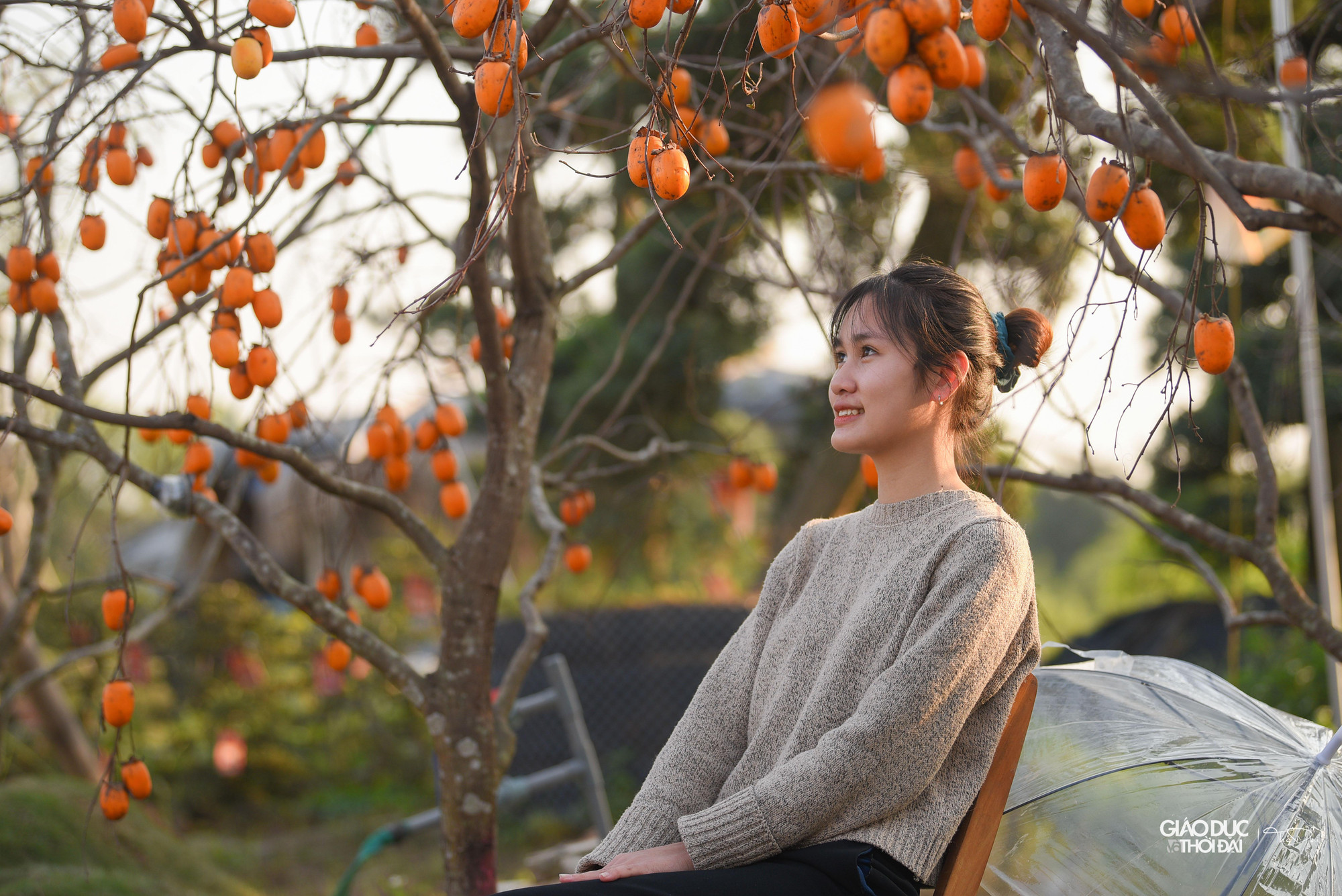 Rất đông người đến con đường hồng để cùng đắm chìm trong sắc màu của cao nguyên Mộc Châu.