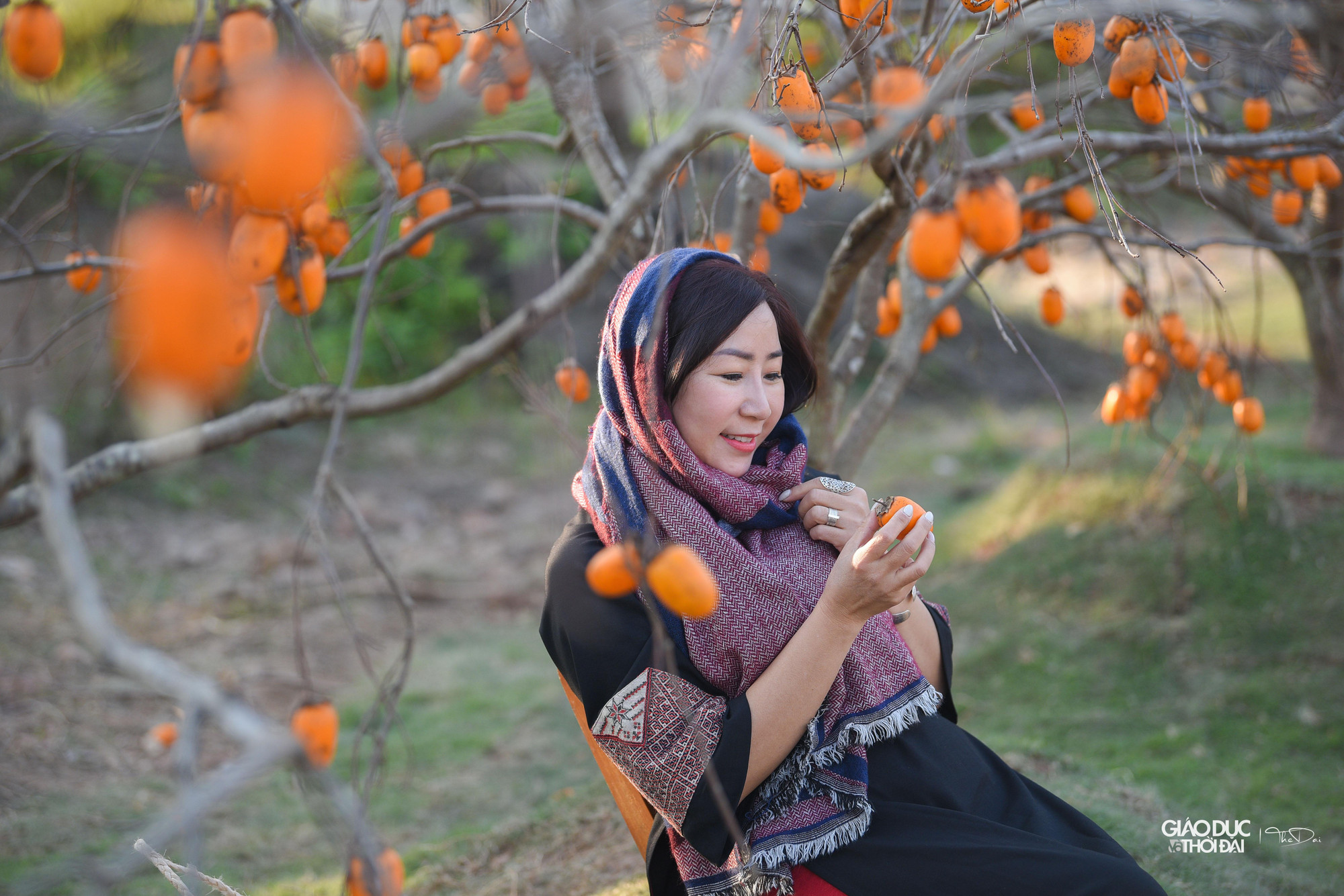 Khung cảnh mang đậm sắc màu của cao nguyên Mộc Châu khiến nhiều người vô cùng ngạc nhiên, thích thú.