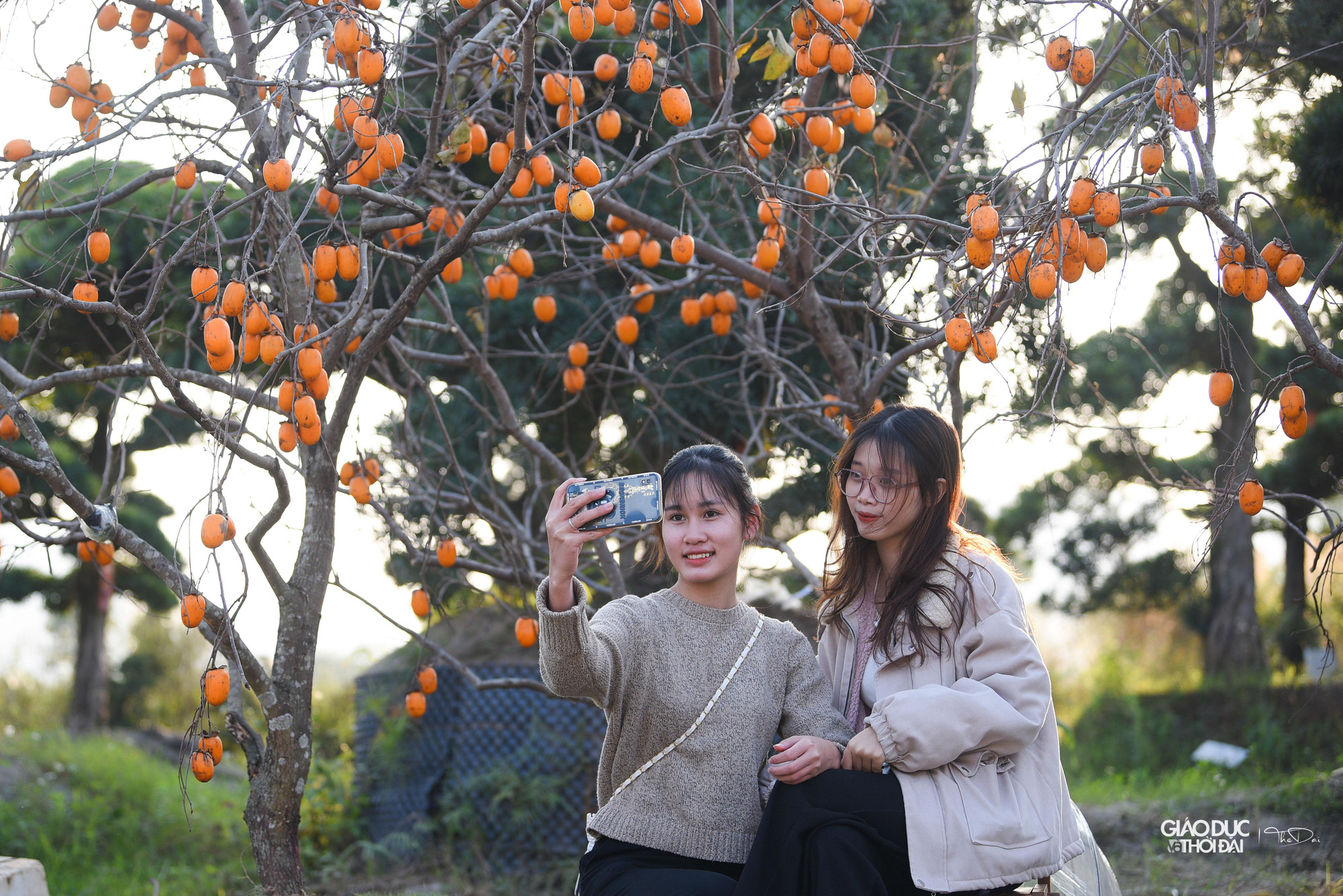 Rất đông người đến con đường hồng để cùng đắm chìm trong sắc màu của cao nguyên Mộc Châu.
