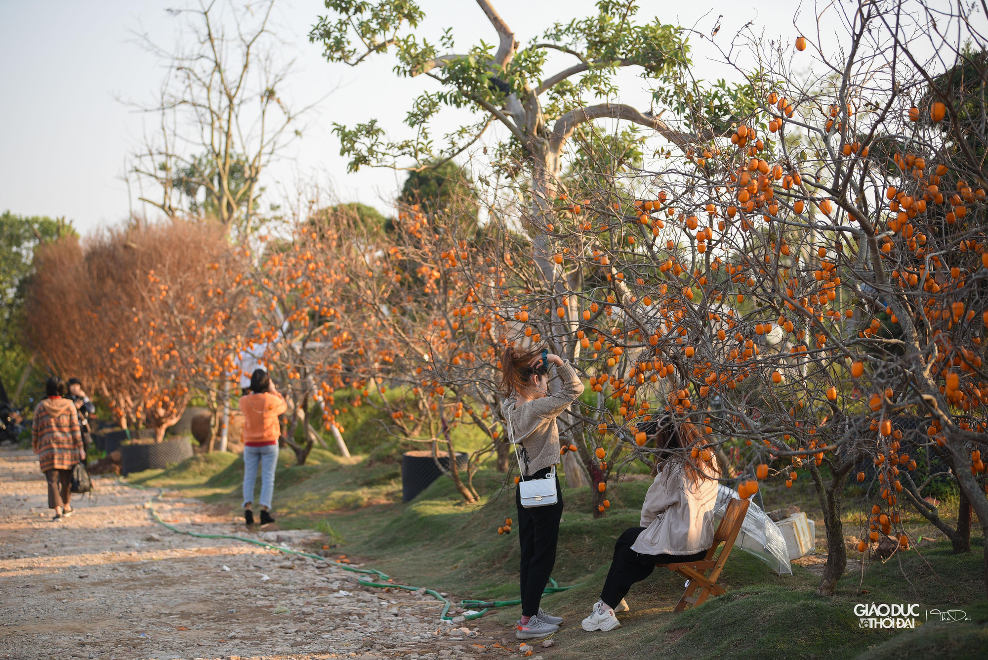 Rất đông các bạn trẻ đã đến con đường hồng để check-in.