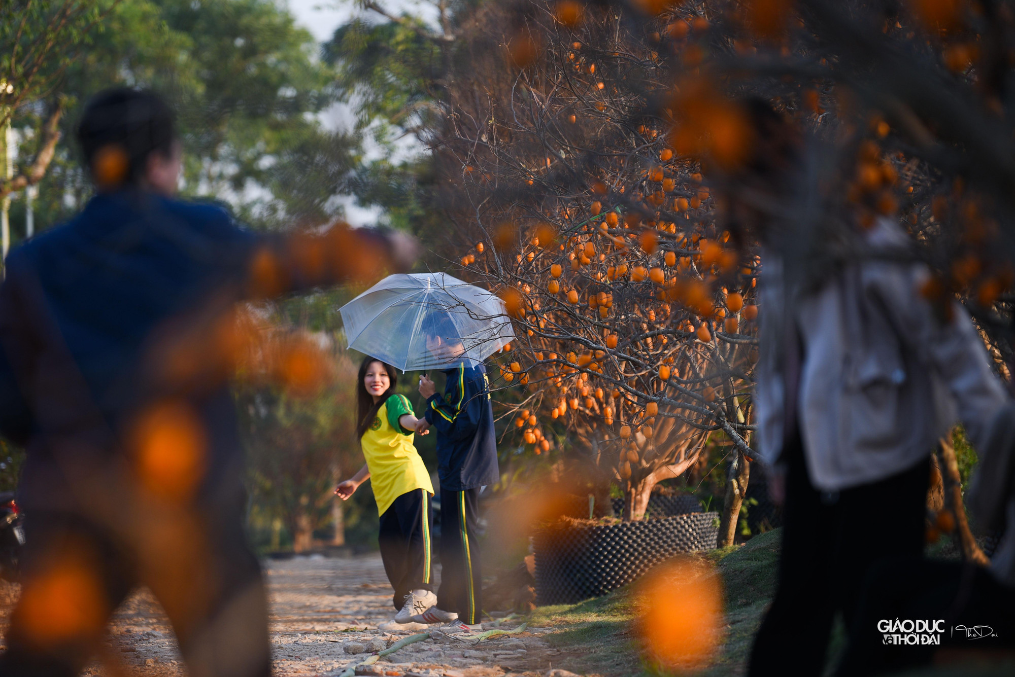 Rất đông người đến con đường hồng để cùng đắm chìm trong sắc màu của cao nguyên Mộc Châu.