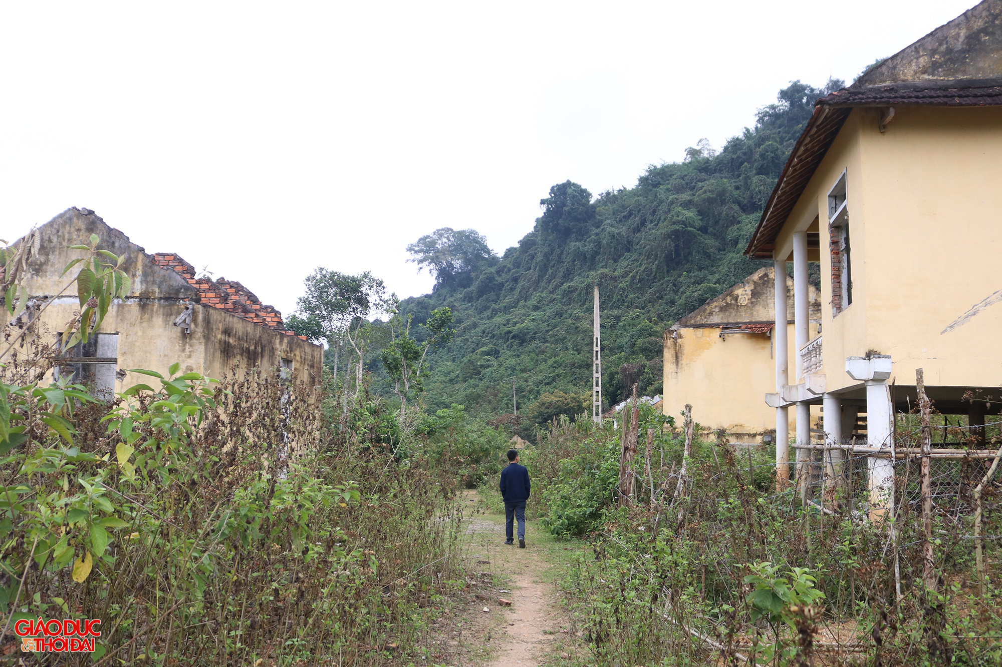 Những con đường trong Khe Ò bị xói mòn, hư hỏng, 2 bên cỏ dại mọc um tùm. Ảnh: Phạm Tâm.