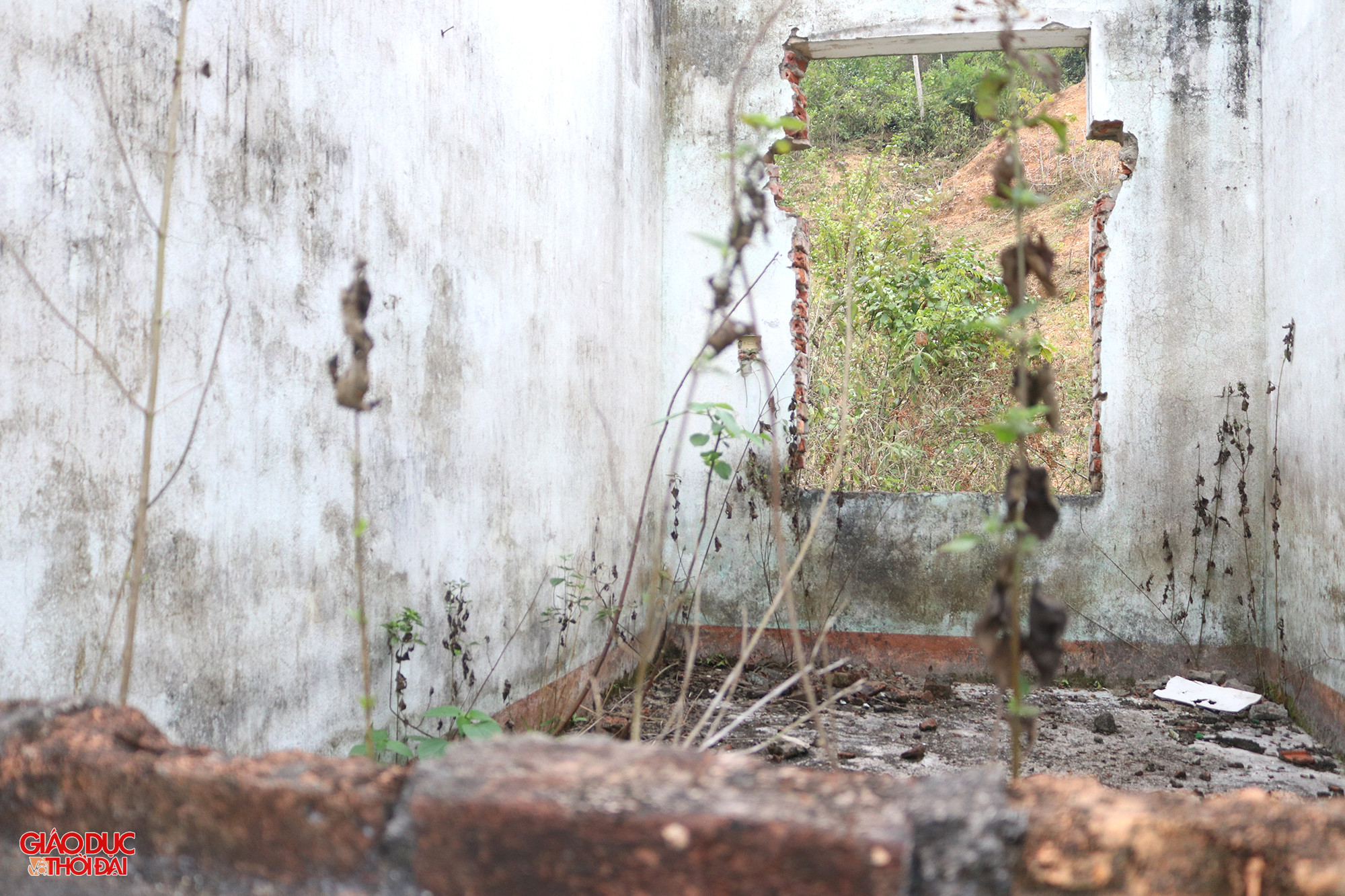 Vì bỏ hoang lâu nên những bức tường xuống cấp trầm trọng, nhuốm màu thời gian. Ảnh: Phạm Tâm.