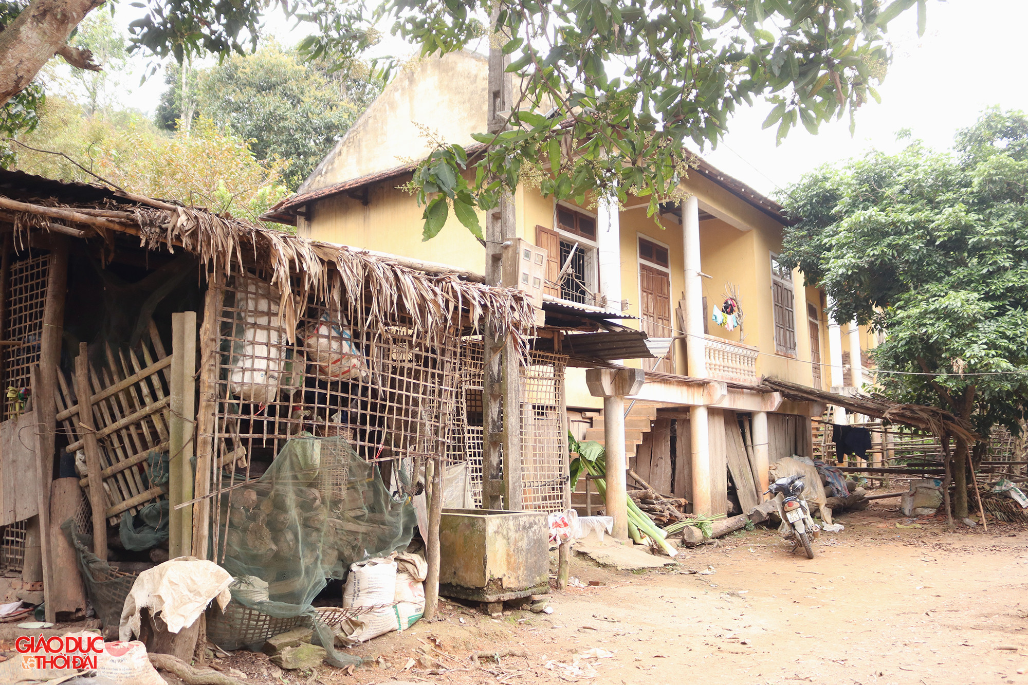 Ngôi nhà của vợ chồng ông Vi Thanh Trung, 1 trong 3 hộ dân còn bám trụ lại Khe Ò. Do không có đất sản xuất nên những gia đình này chỉ biết chăn nuôi một vài con trâu, con gà, trồng rau để sống. Ảnh: Phạm Tâm.