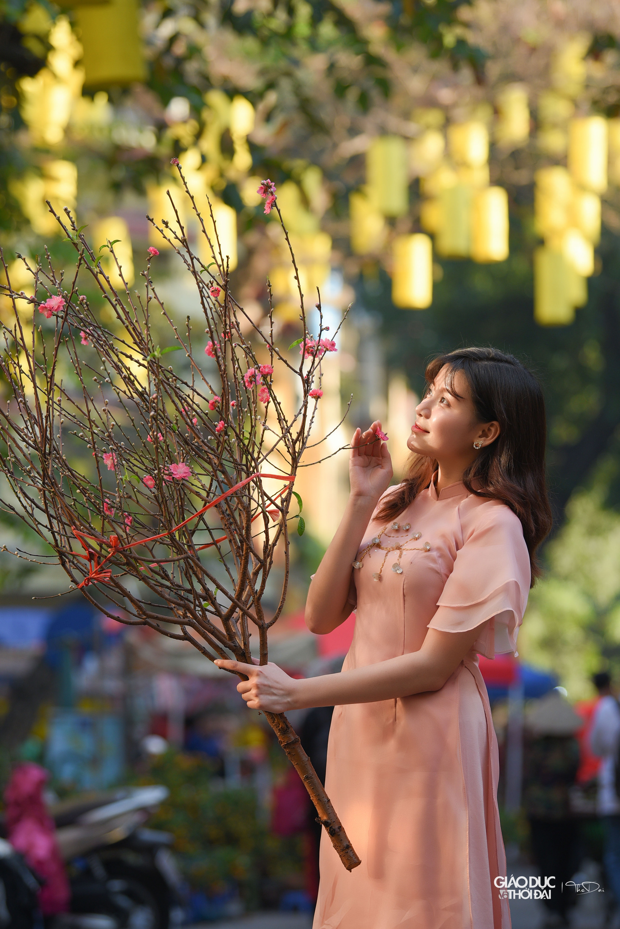 Bạn Diễm Mi đã cất công đến vườn đào để tìm mua, sau đó về chợ Tết cổ ở Hà Nội để tìm mua những đồ trang trí.