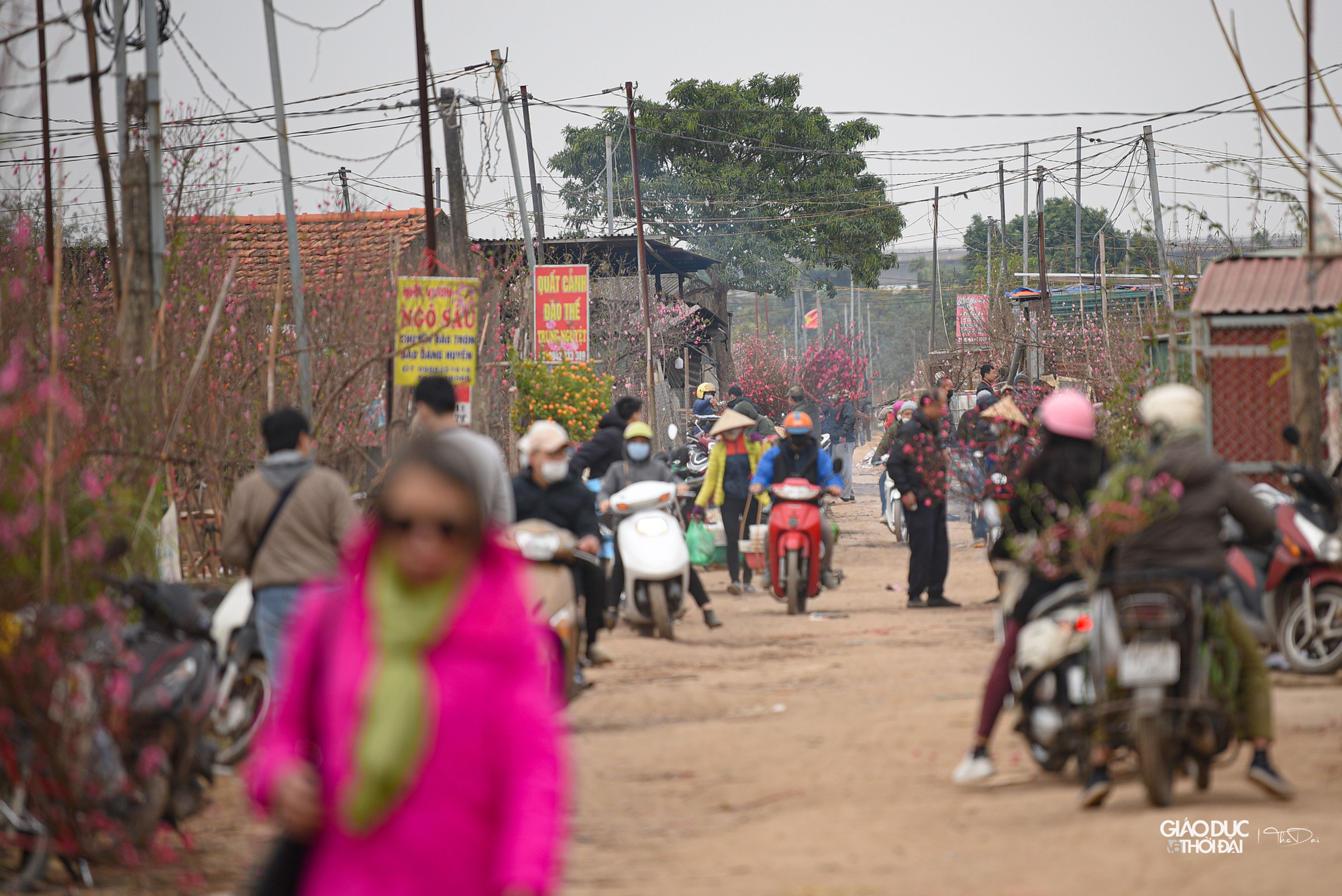 Tại con đường nhỏ lúc nào cũng tấp nập người.