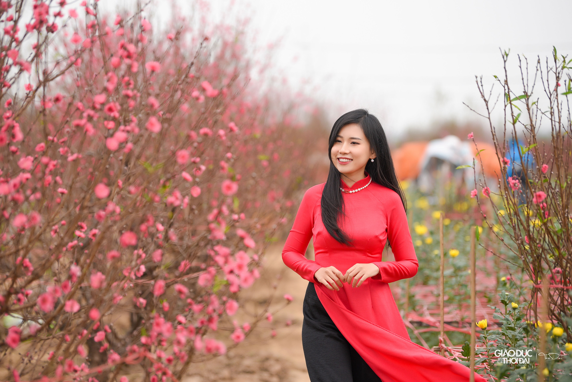 Đây cũng là thời điểm lý tưởng để chụp những tấm hình với hoa đào.