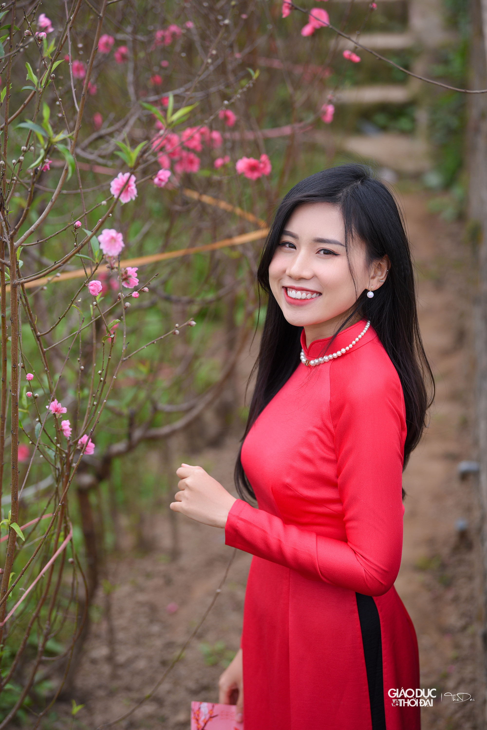 Đào Nhật Tân nở rộ khoe sắc cùng thiếu nữ xinh tươi tạo nên bức tranh ngày Tết thật đẹp.