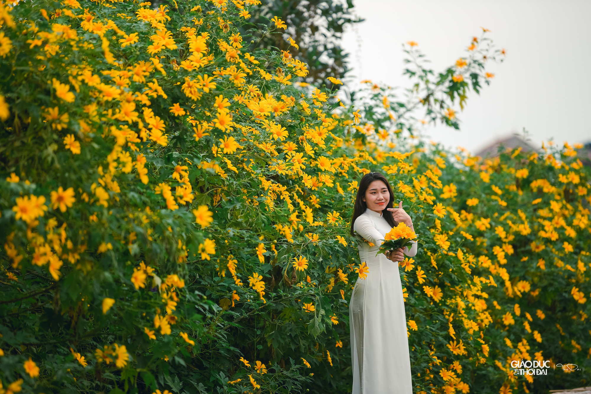 Vé để vào chụp ảnh tại đây là 50.000 đồng/người.