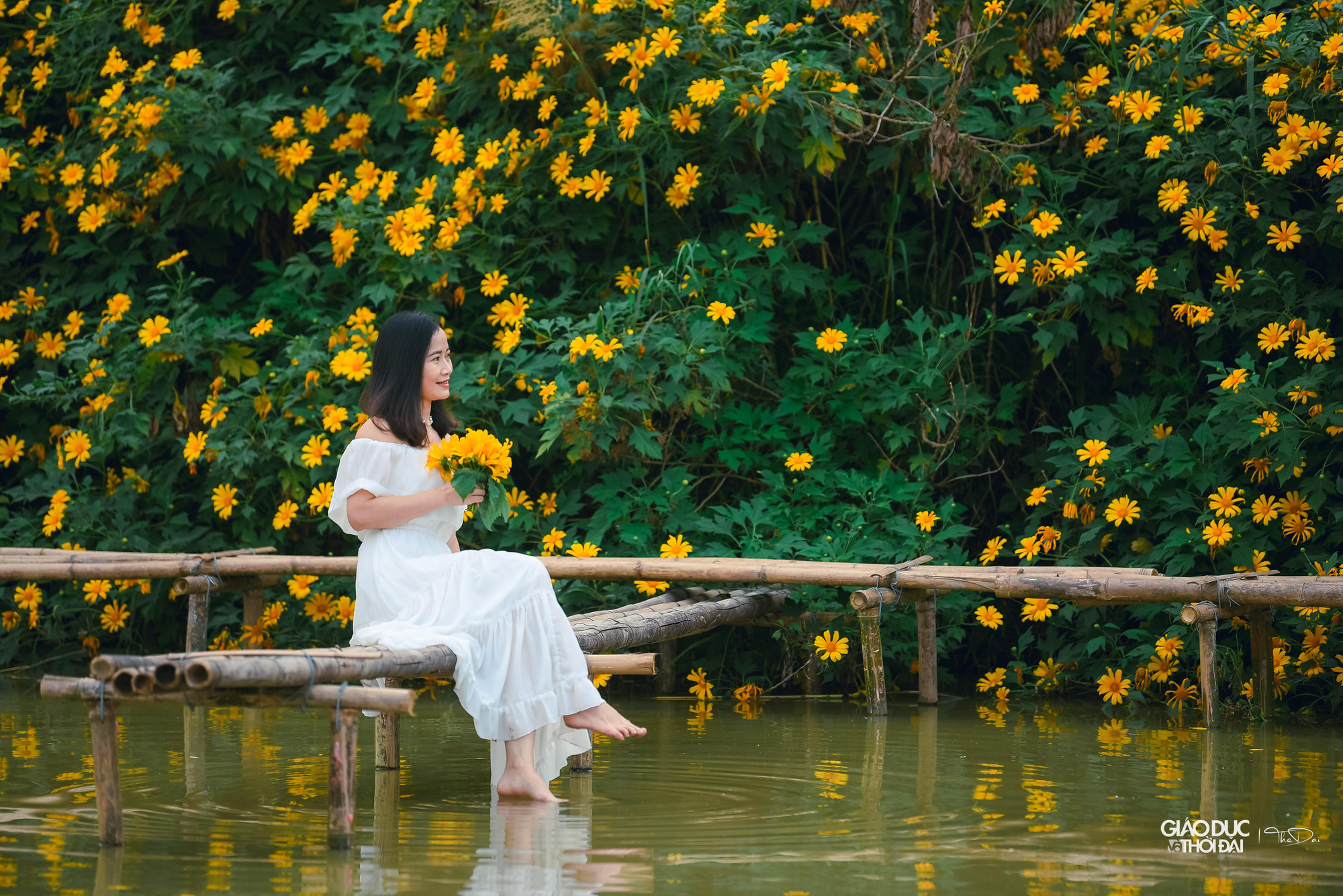 Thời điểm này, vườn dã quỳ thu hút đông người đến ngắm và chụp ảnh.