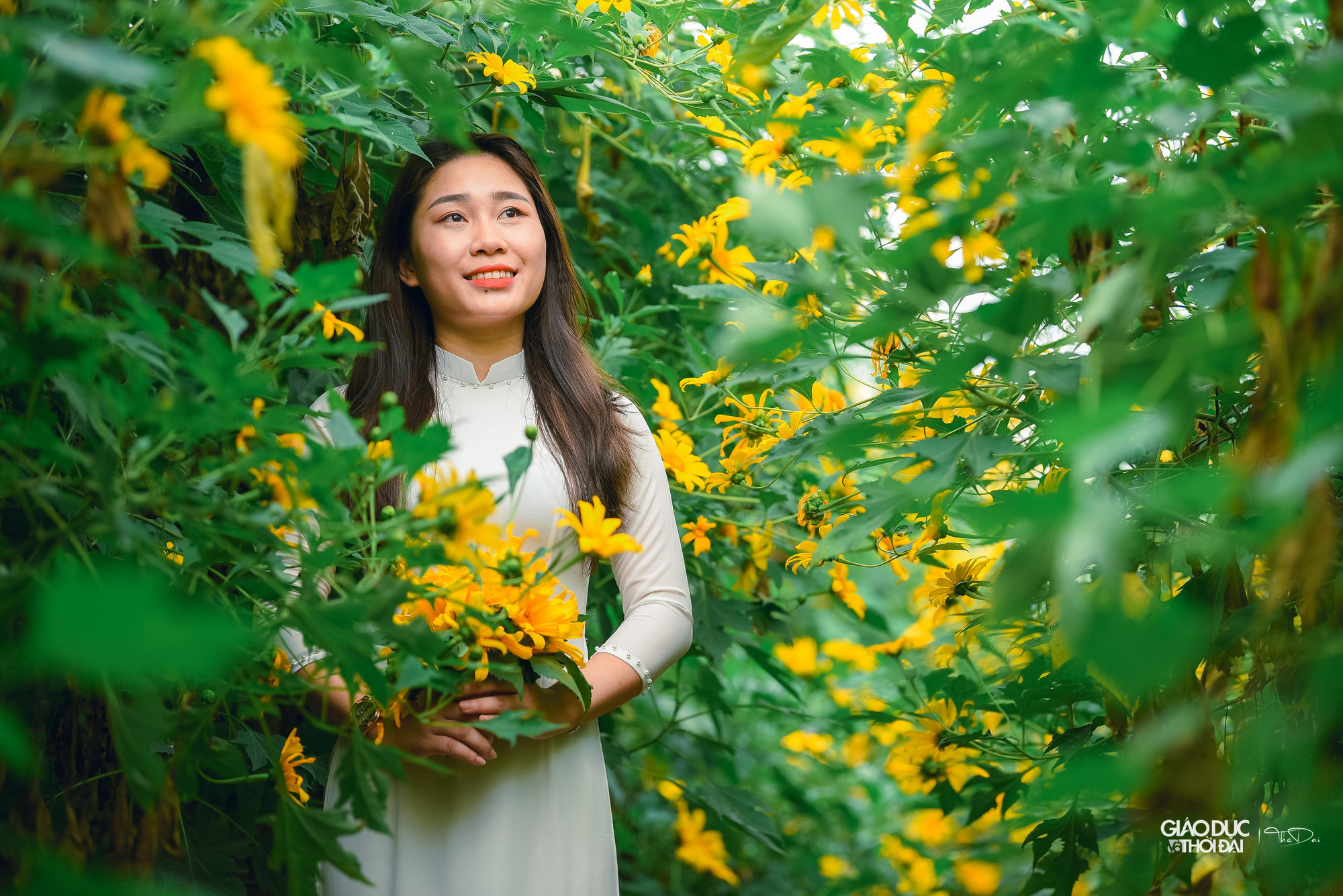 Vé để vào chụp ảnh tại đây là 50.000 đồng/người.