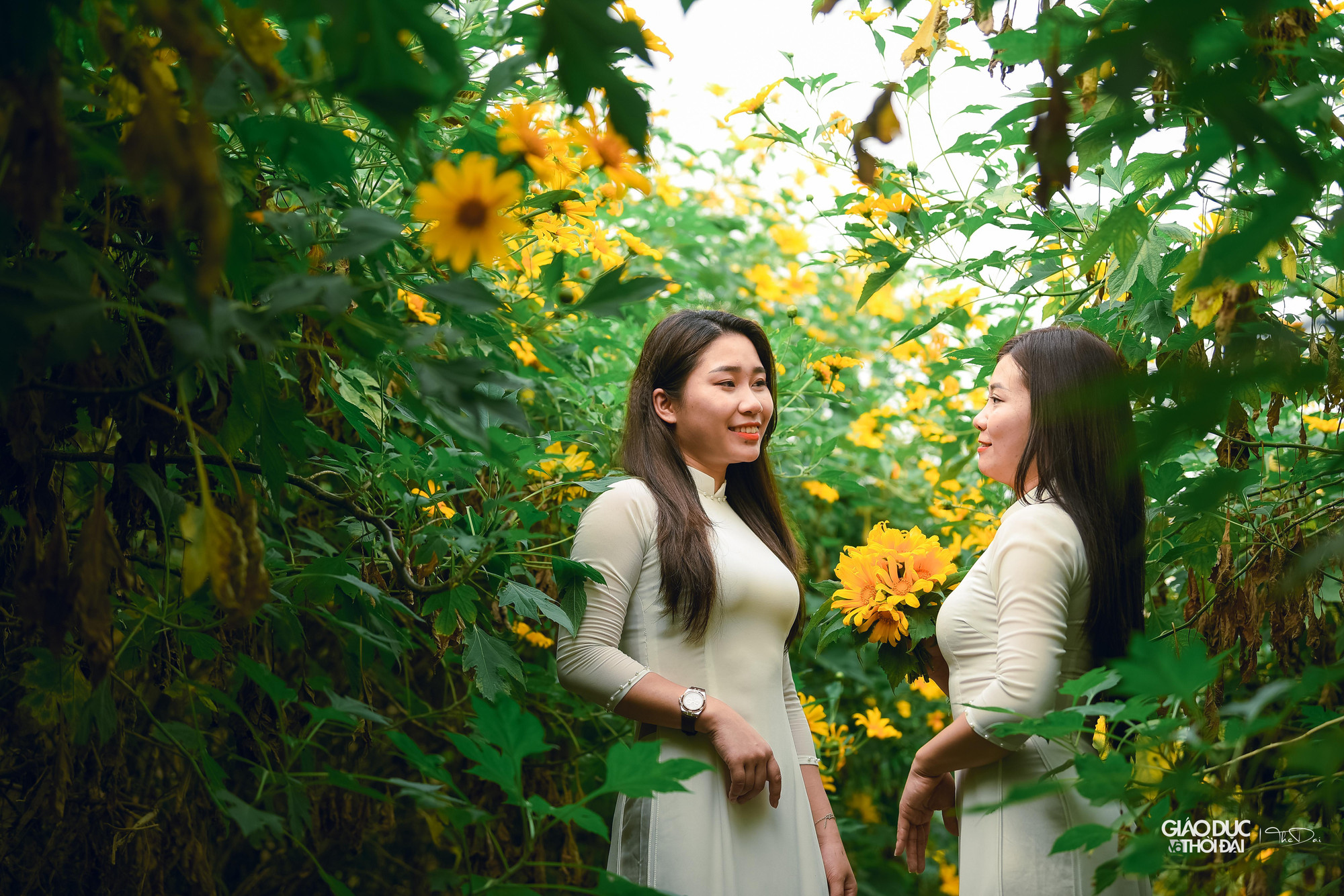 Vé để vào chụp ảnh tại đây là 50.000 đồng/người.