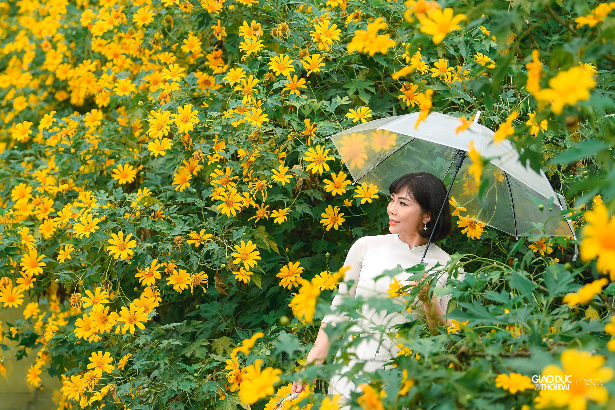 Vé để vào chụp ảnh tại đây là 50.000 đồng/người.